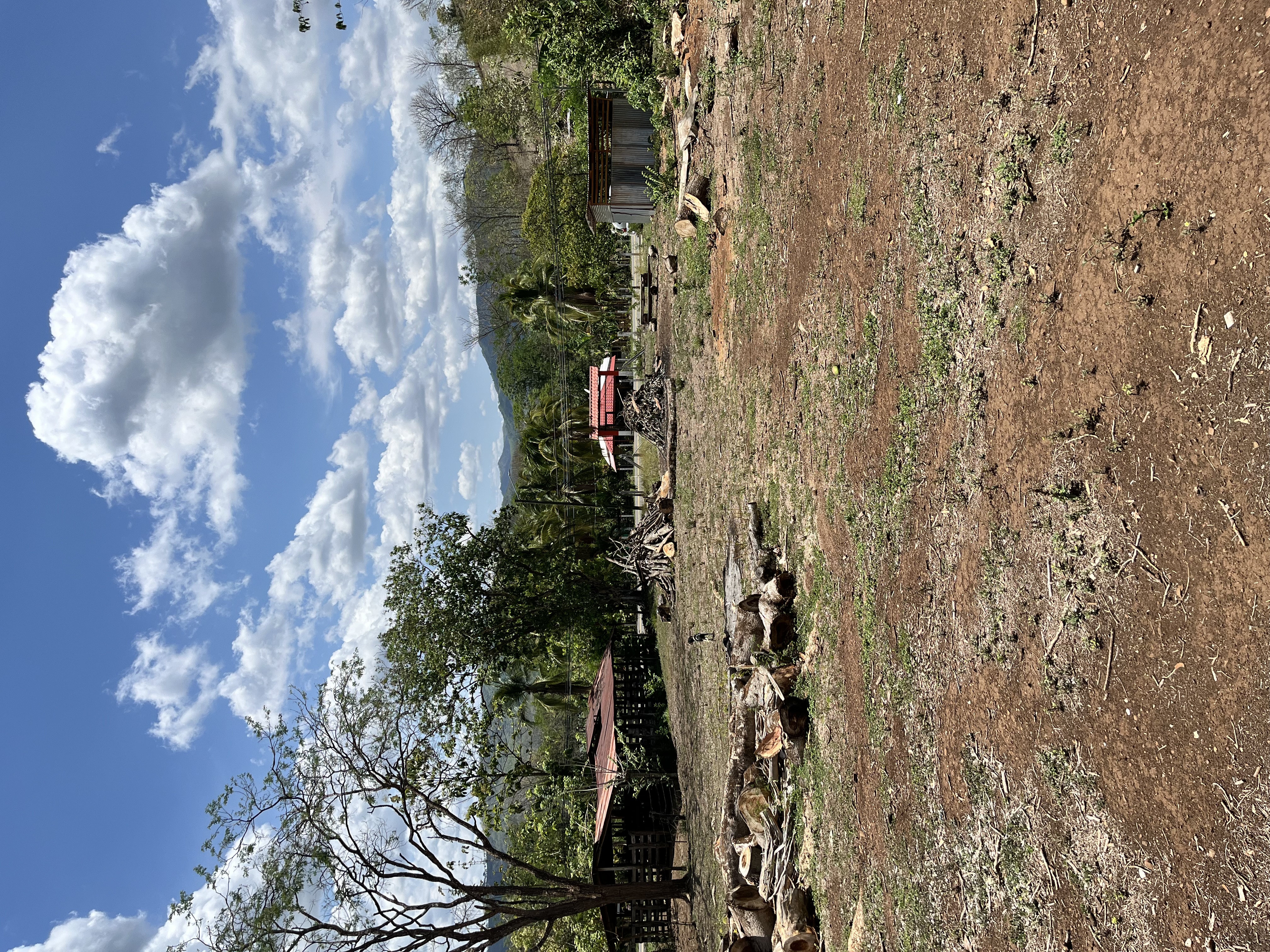 0 bed Land For Sale in Samara, Guanacaste - thumb 2