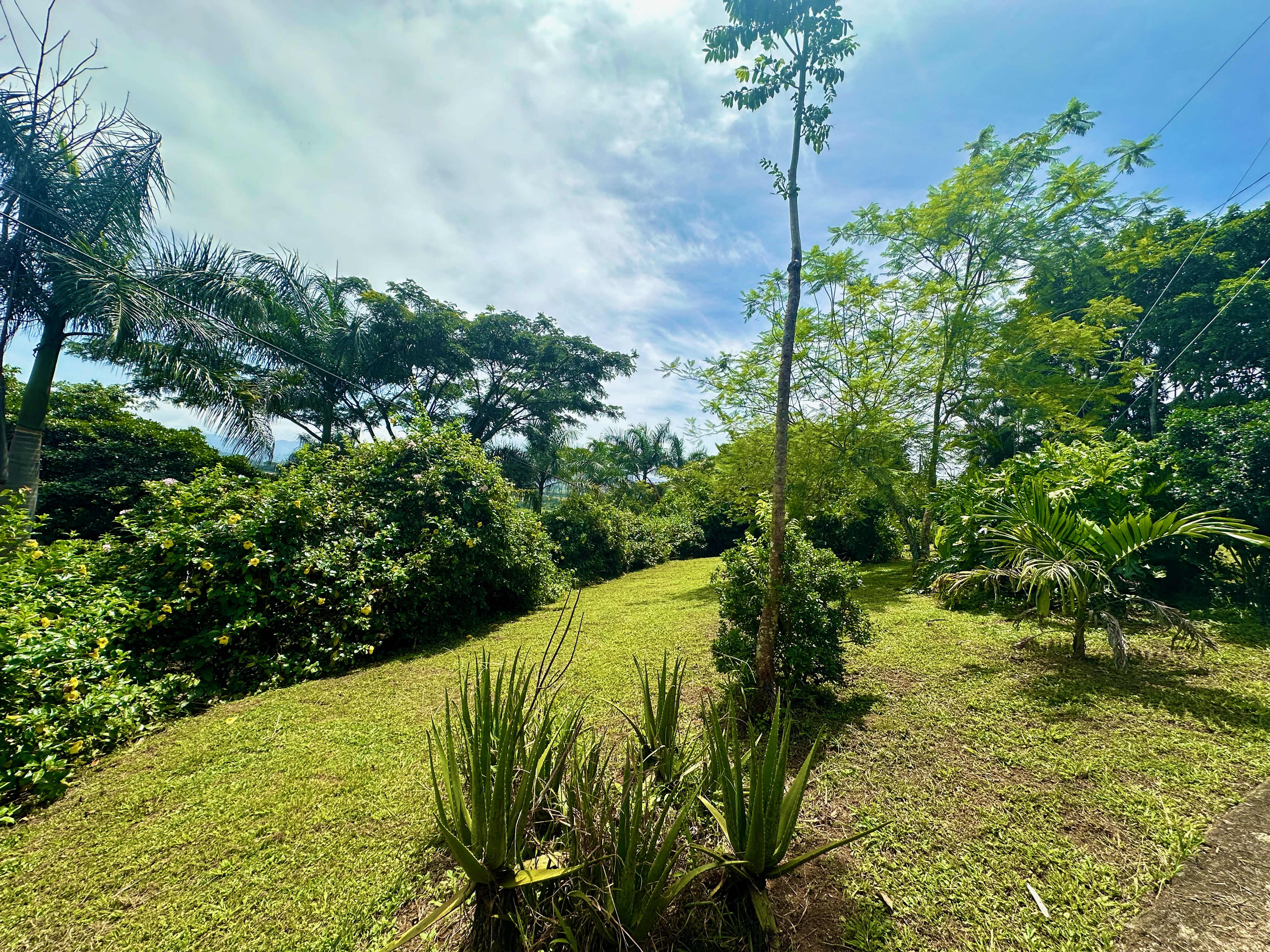 6 bed Single Family Homes For Sale in Atenas, Alajuela - thumb 15