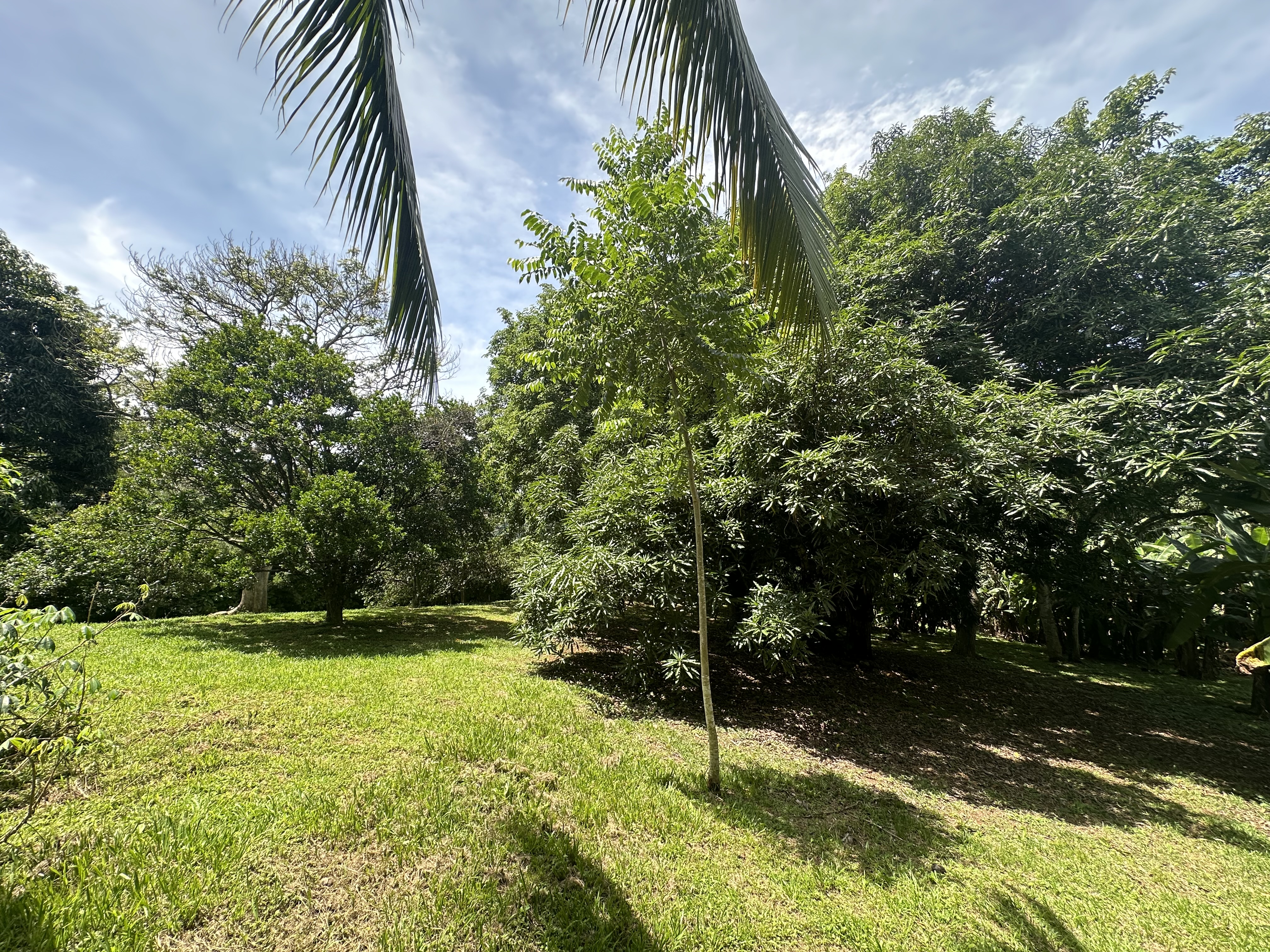 6 bed Single Family Homes For Sale in Atenas, Alajuela - thumb 23