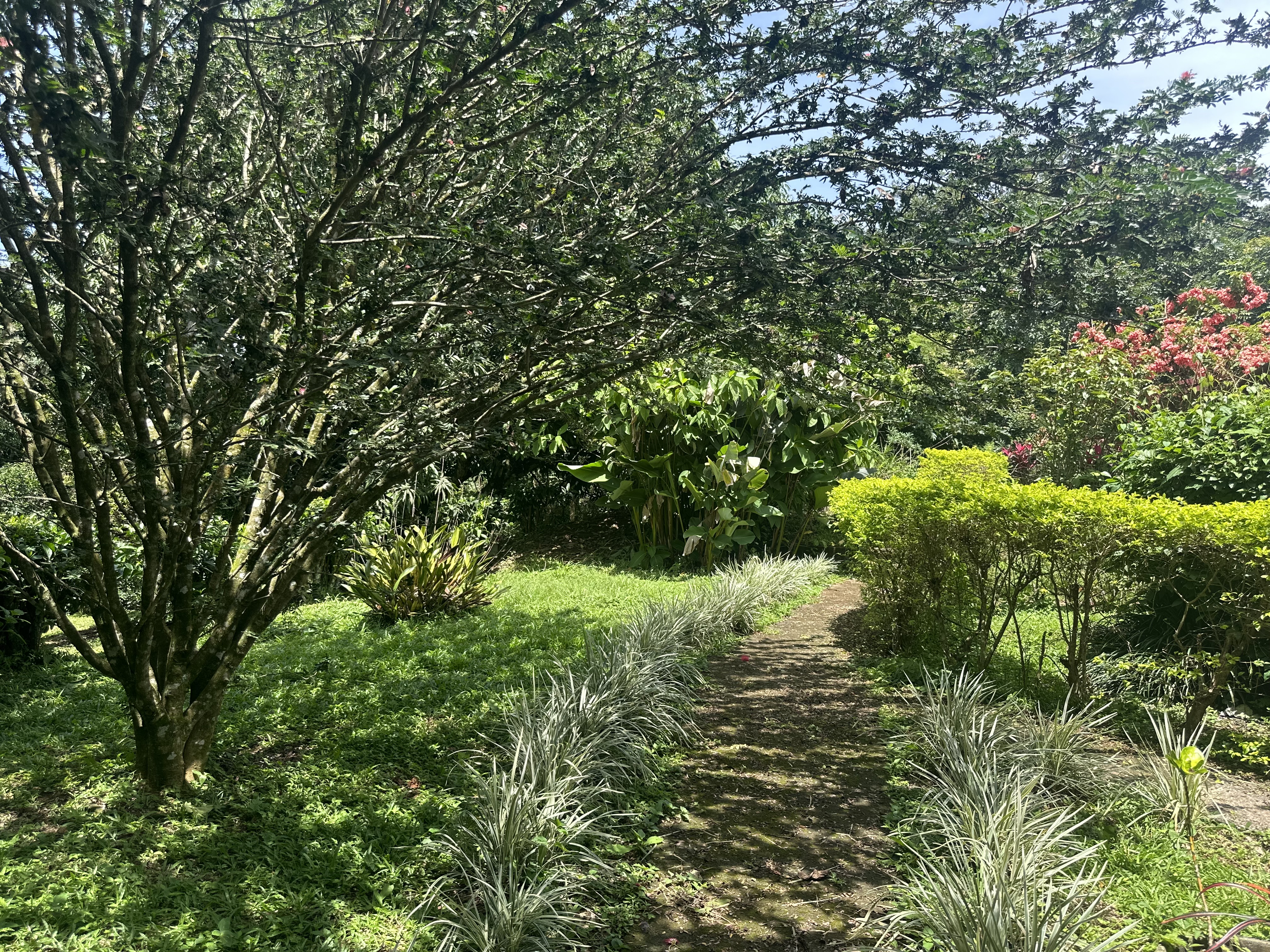 6 bed Single Family Homes For Sale in Atenas, Alajuela - thumb 18