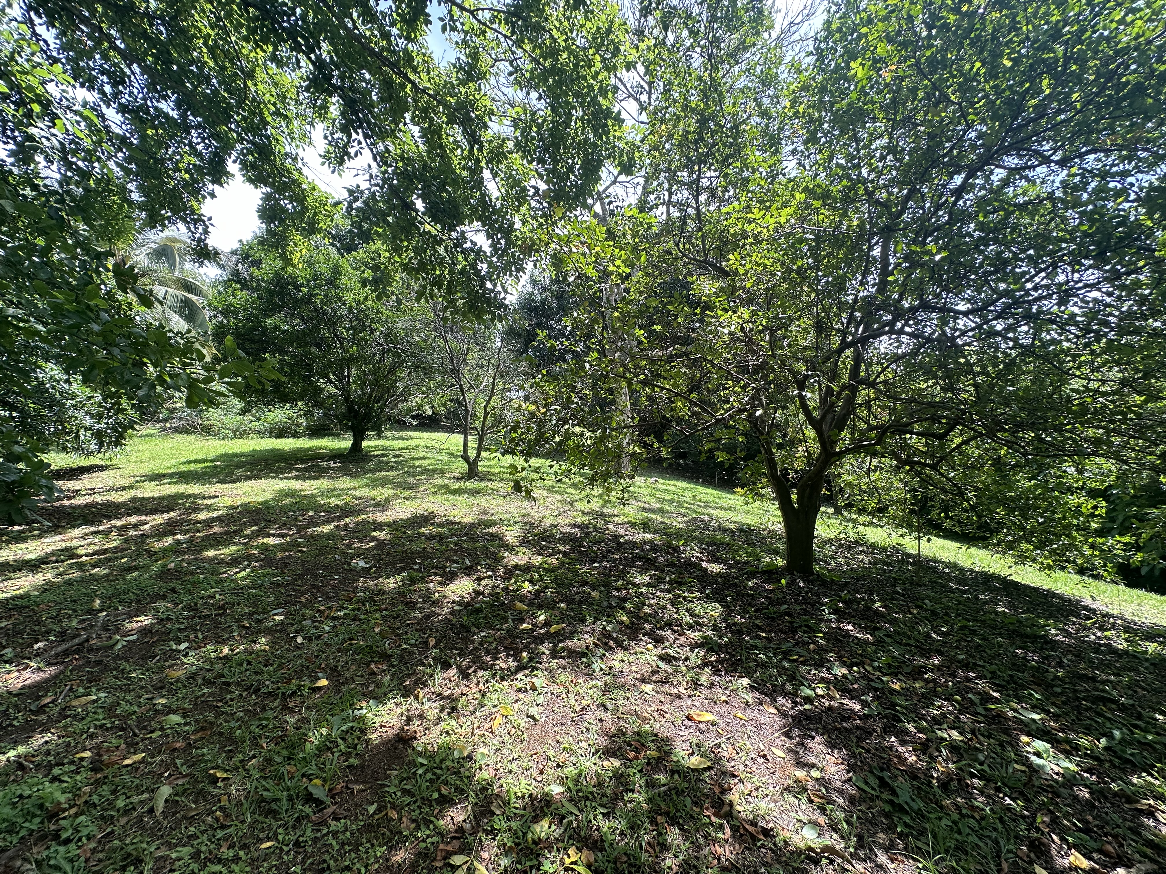 6 bed Single Family Homes For Sale in Atenas, Alajuela - thumb 25