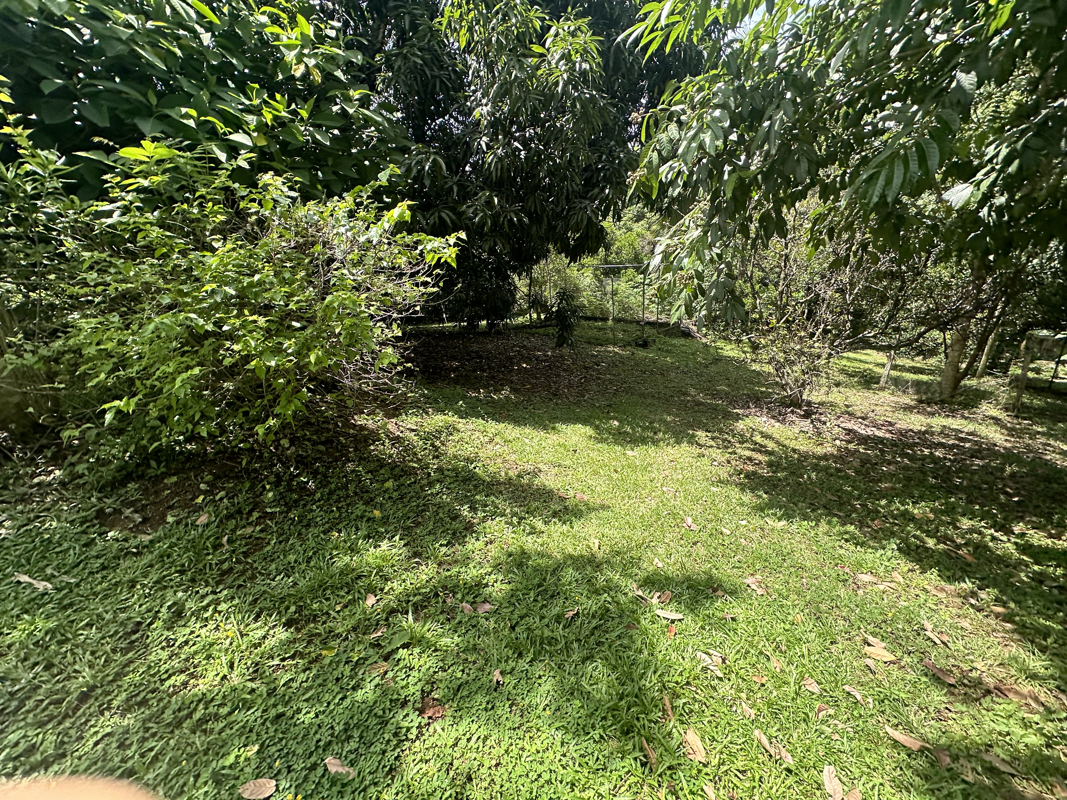 6 bed Single Family Homes For Sale in Atenas, Alajuela - thumb 22