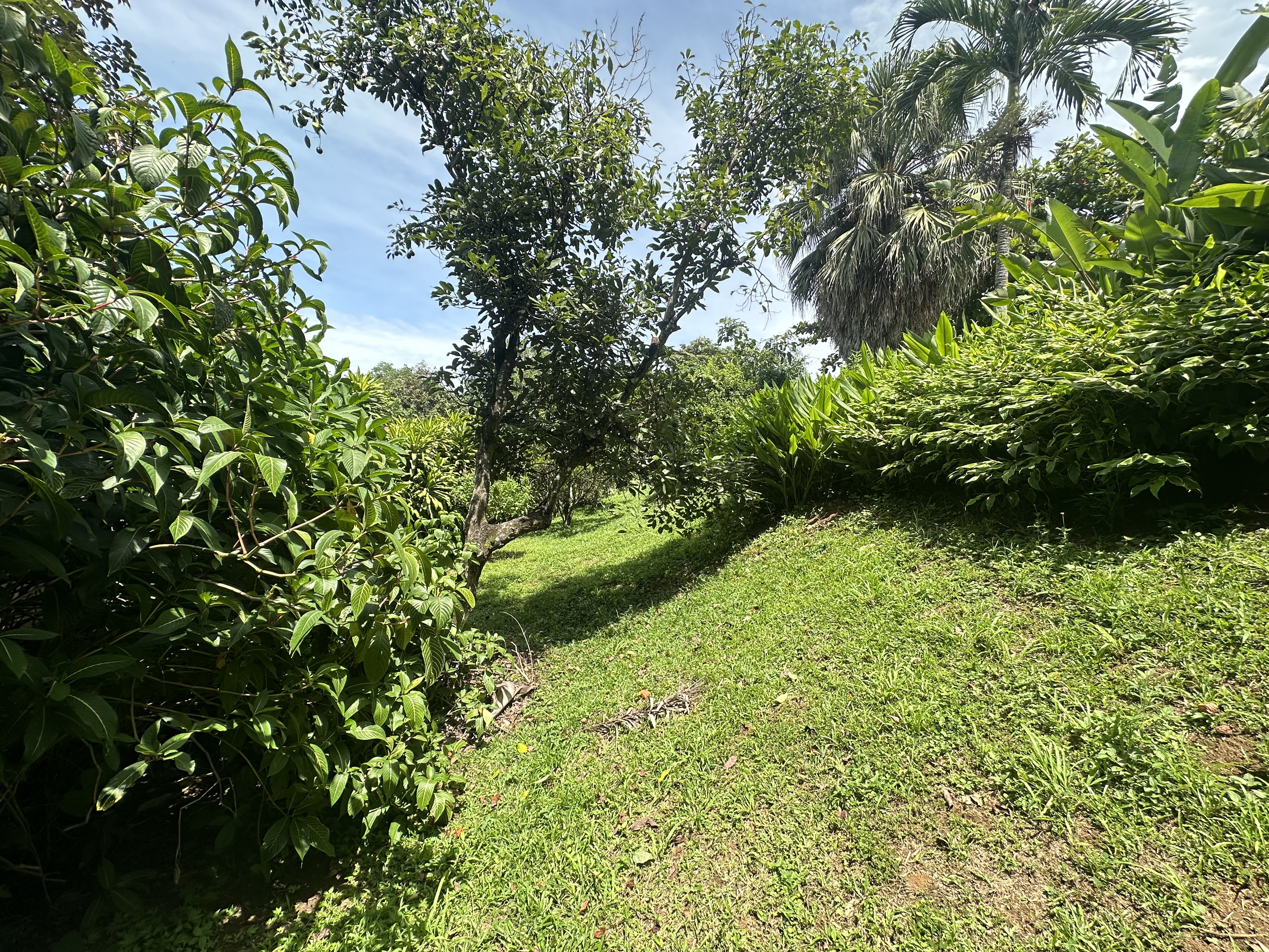 6 bed Single Family Homes For Sale in Atenas, Alajuela - thumb 17