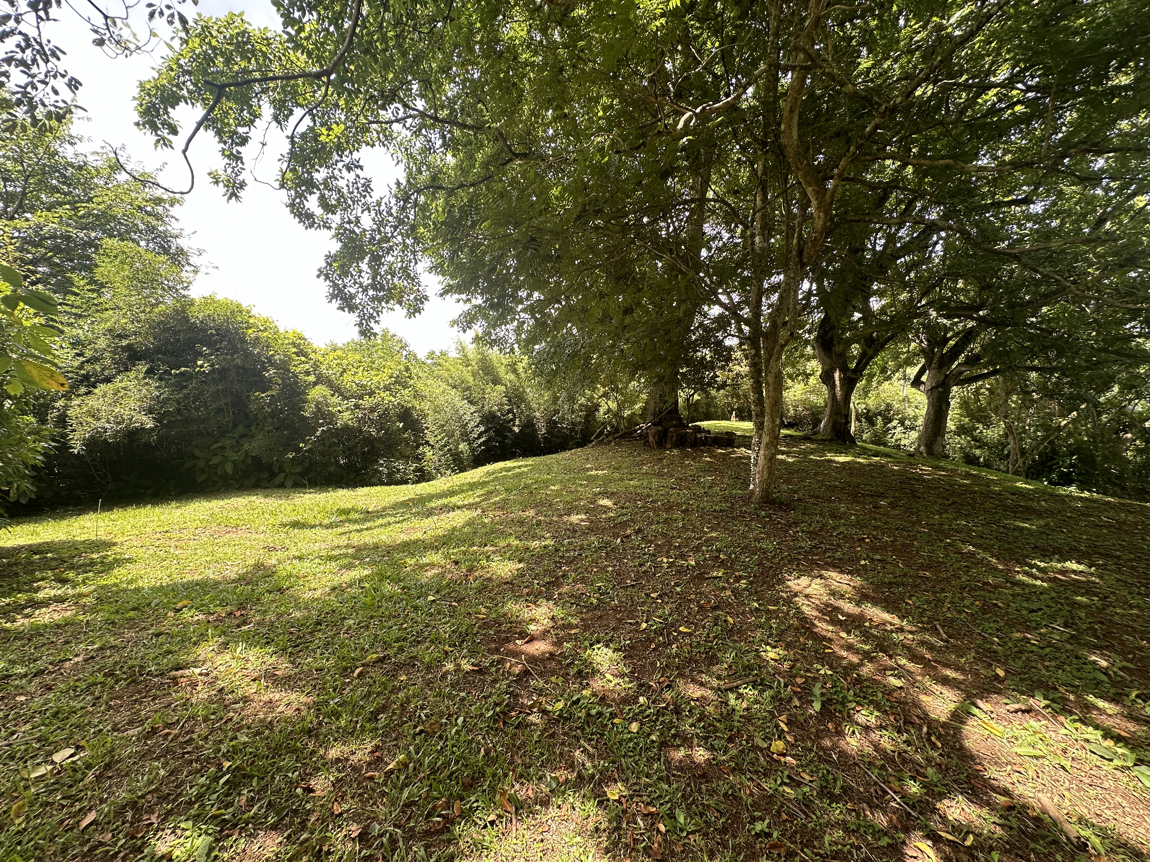 6 bed Single Family Homes For Sale in Atenas, Alajuela - thumb 24