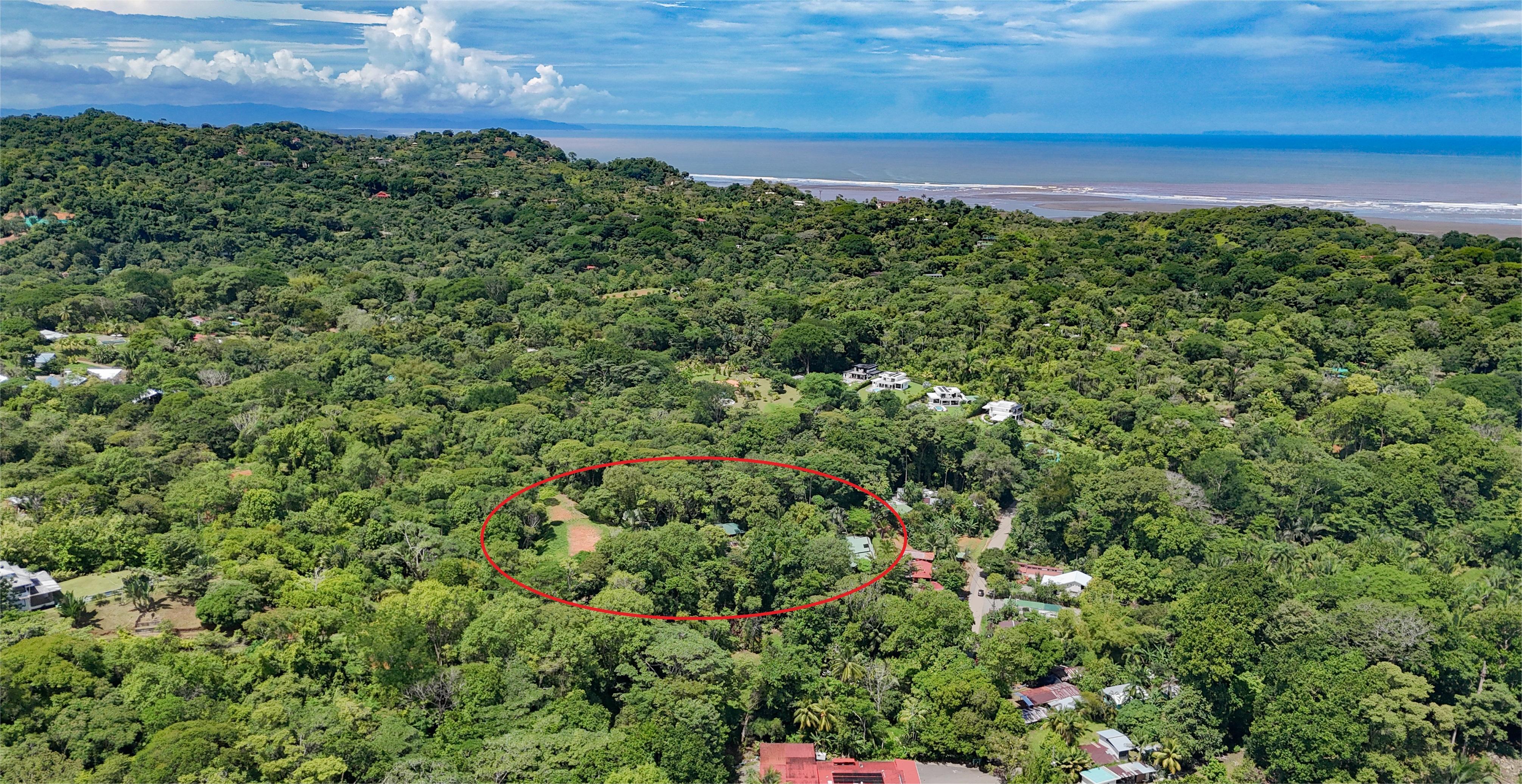 6 bed Commercial For Sale in Ojochal, Puntarenas - thumb 4