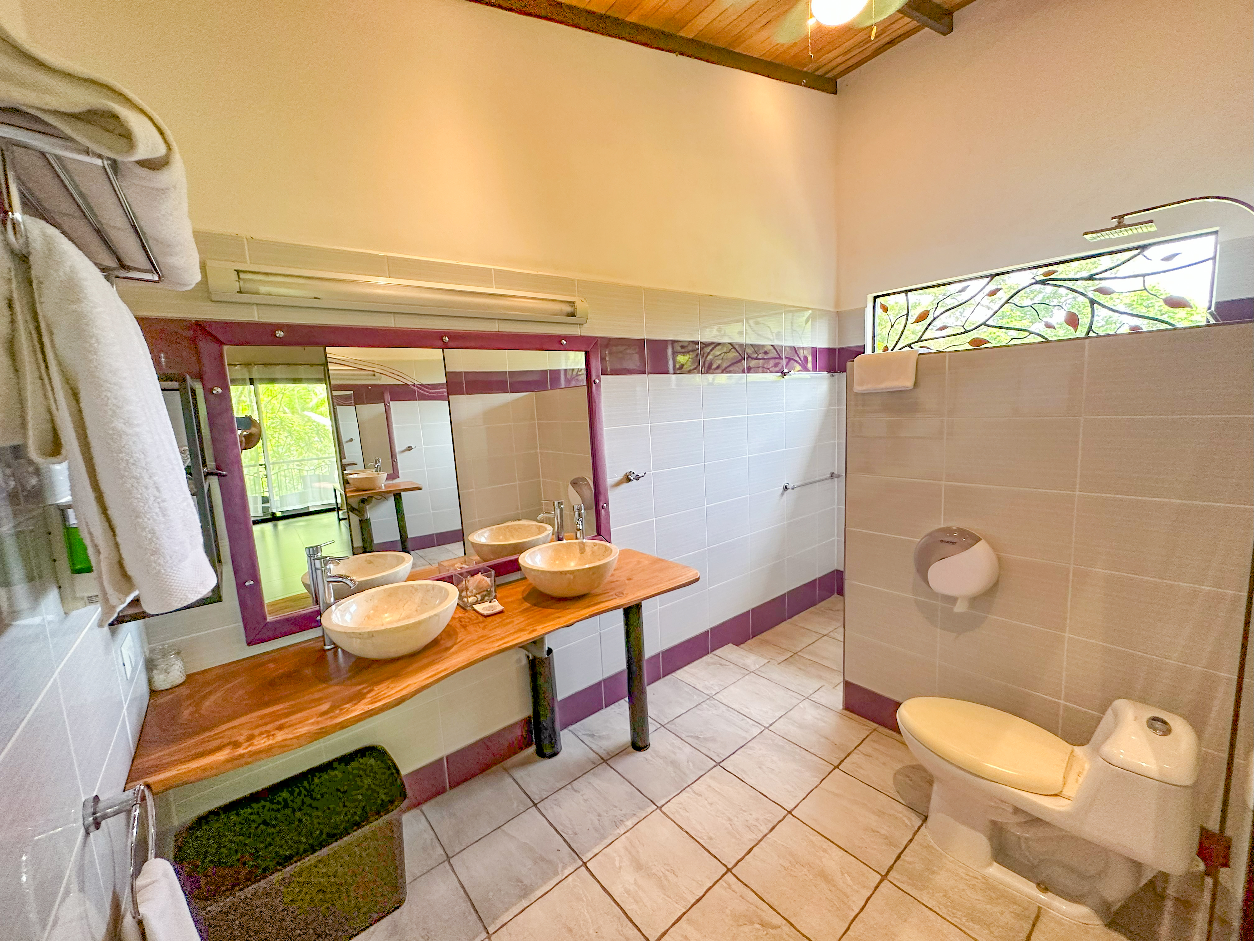 6 bed Commercial For Sale in Ojochal, Puntarenas - thumb 19