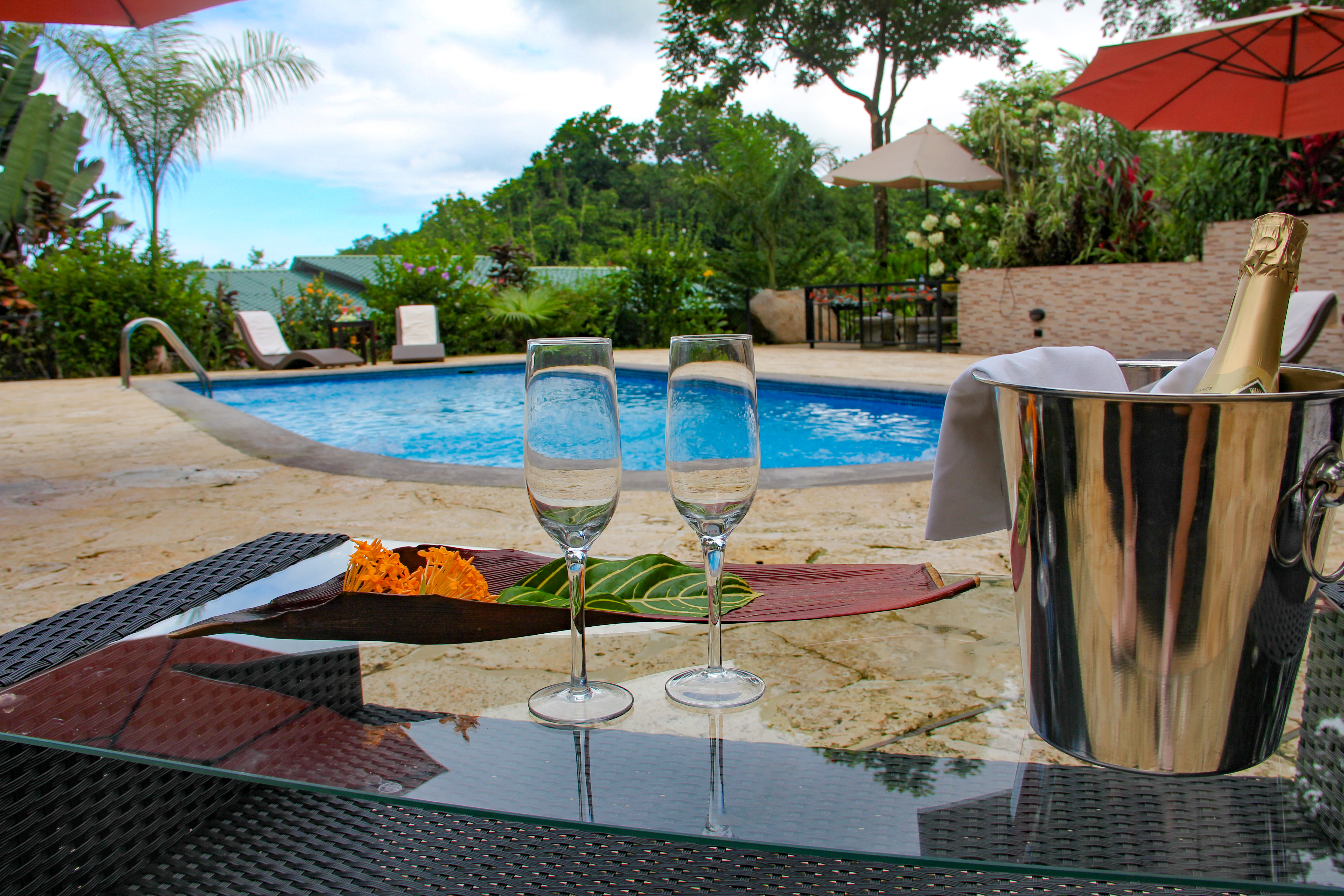 6 bed Commercial For Sale in Ojochal, Puntarenas - thumb 7