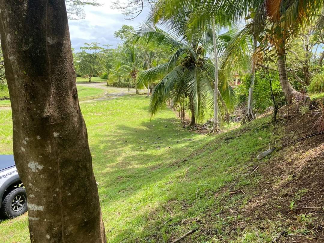 0 bed Land For Sale in Esterillos, Puntarenas - thumb 4