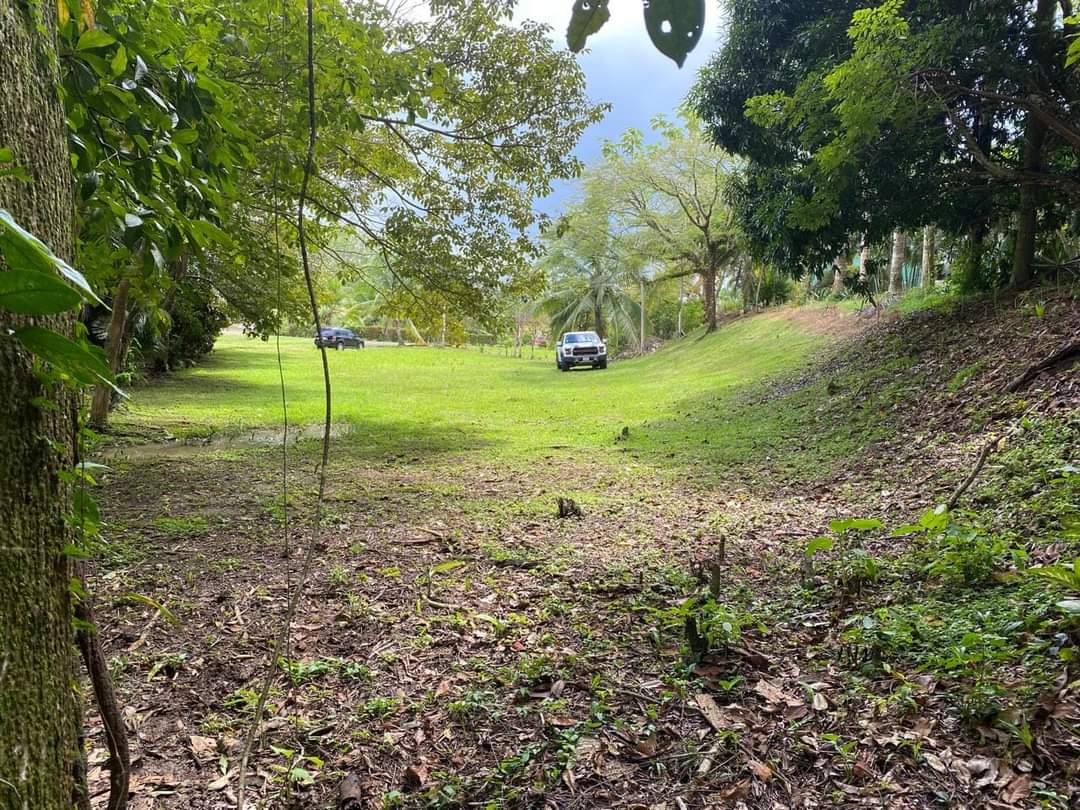 0 bed Land For Sale in Esterillos, Puntarenas - thumb 2