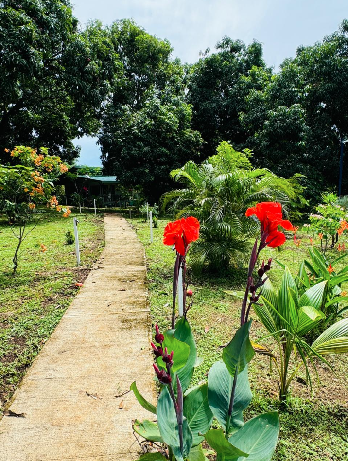 4 bed Single Family Homes For Sale in Orotina, Alajuela - thumb 30