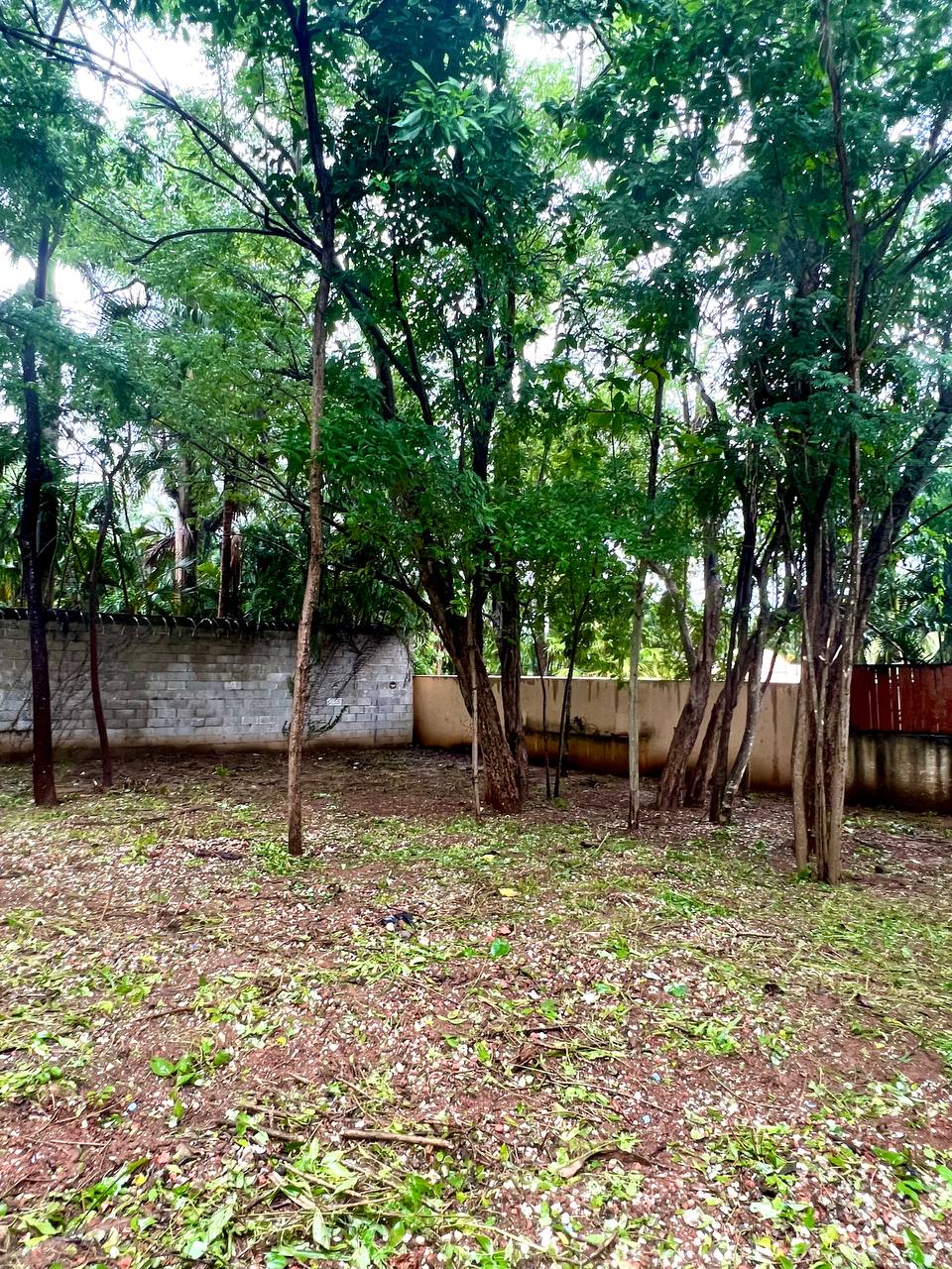 0 bed Land For Sale in Tamarindo, Guanacaste - thumb 6