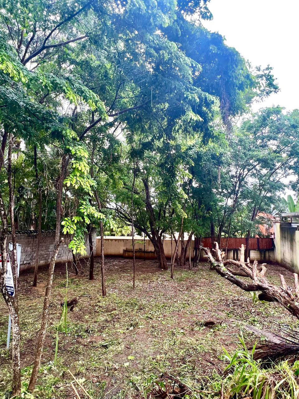 0 bed Land For Sale in Tamarindo, Guanacaste - thumb 7