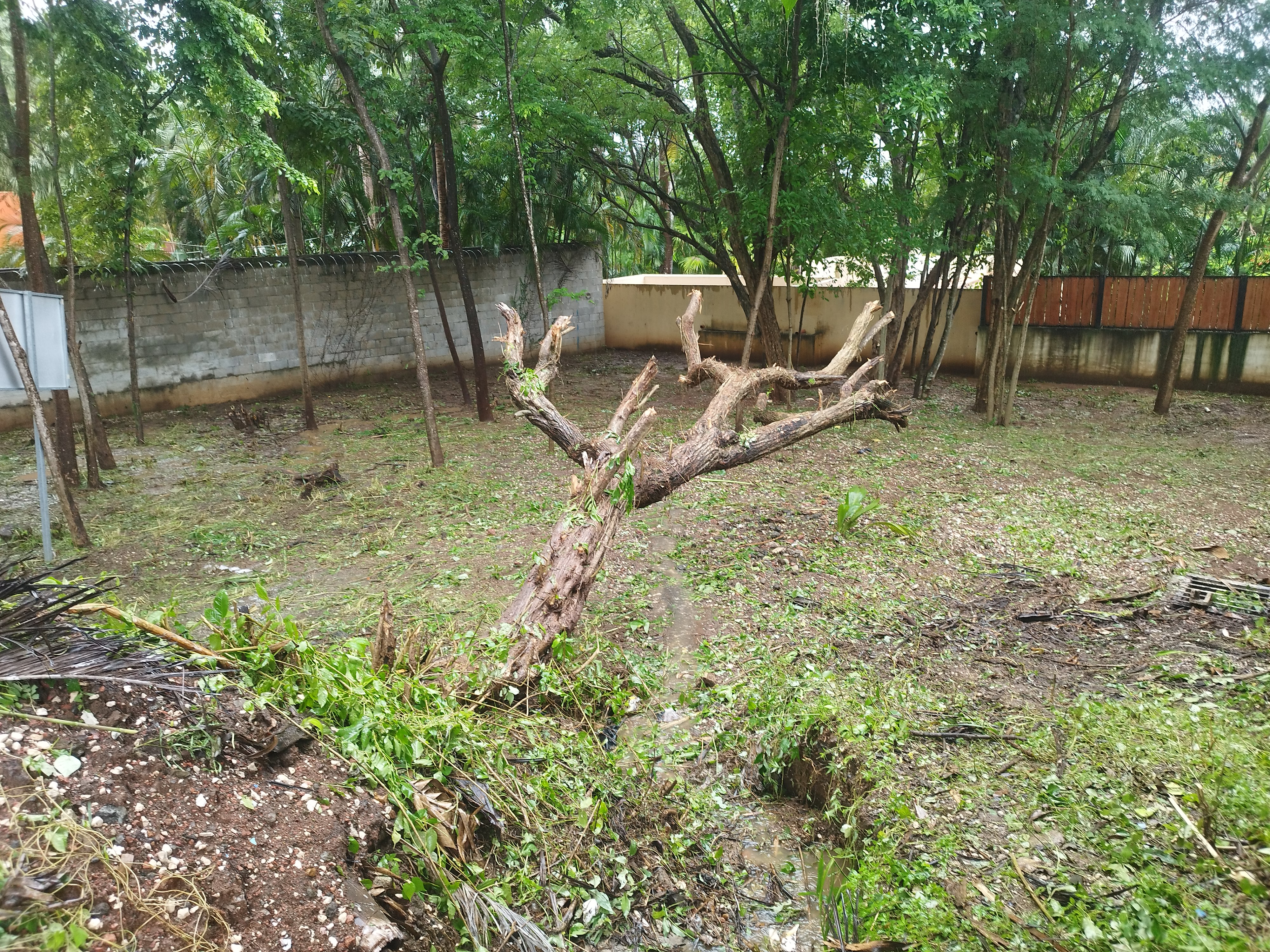 0 bed Land For Sale in Tamarindo, Guanacaste - thumb 2