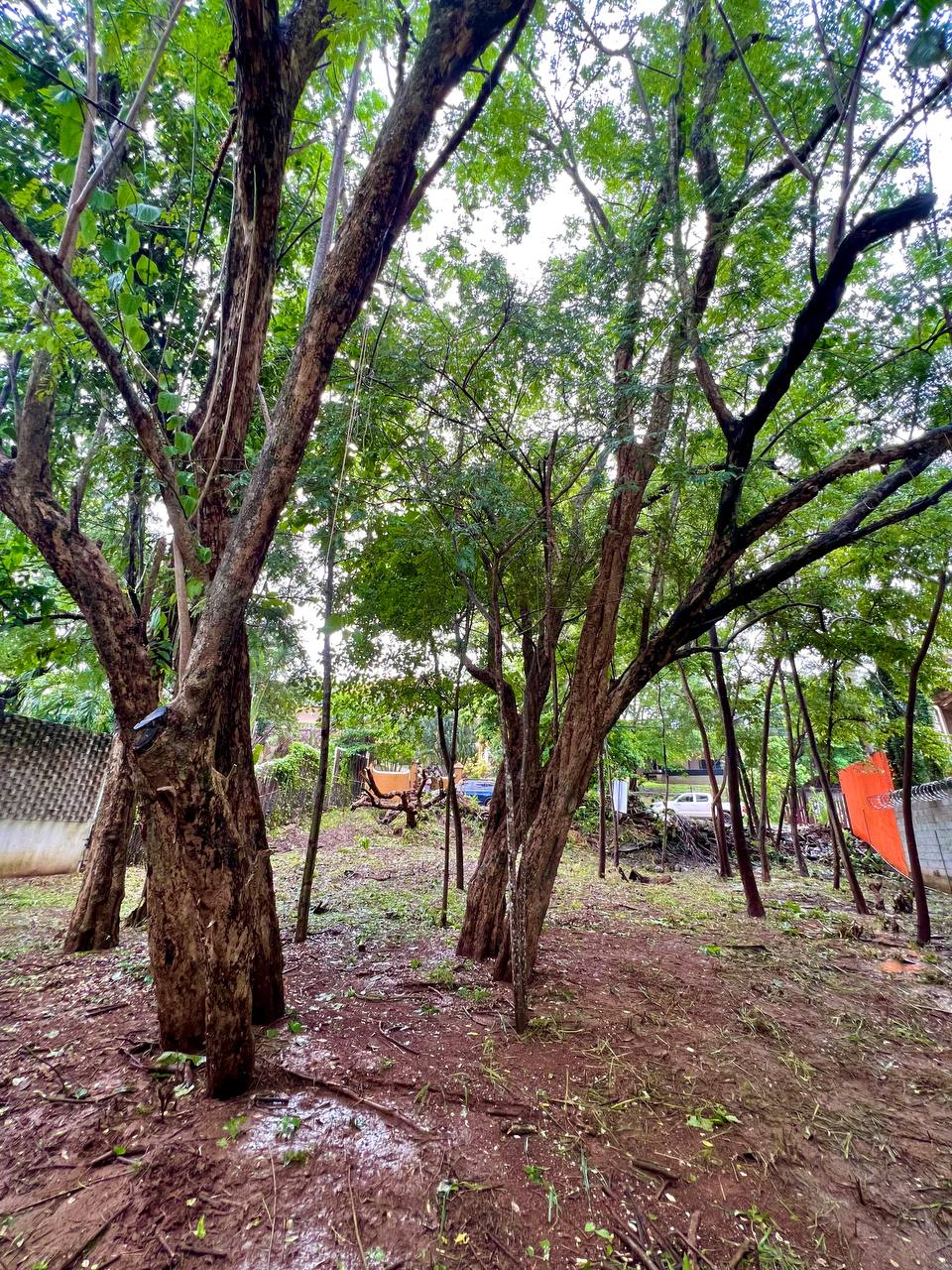 0 bed Land For Sale in Tamarindo, Guanacaste - thumb 5