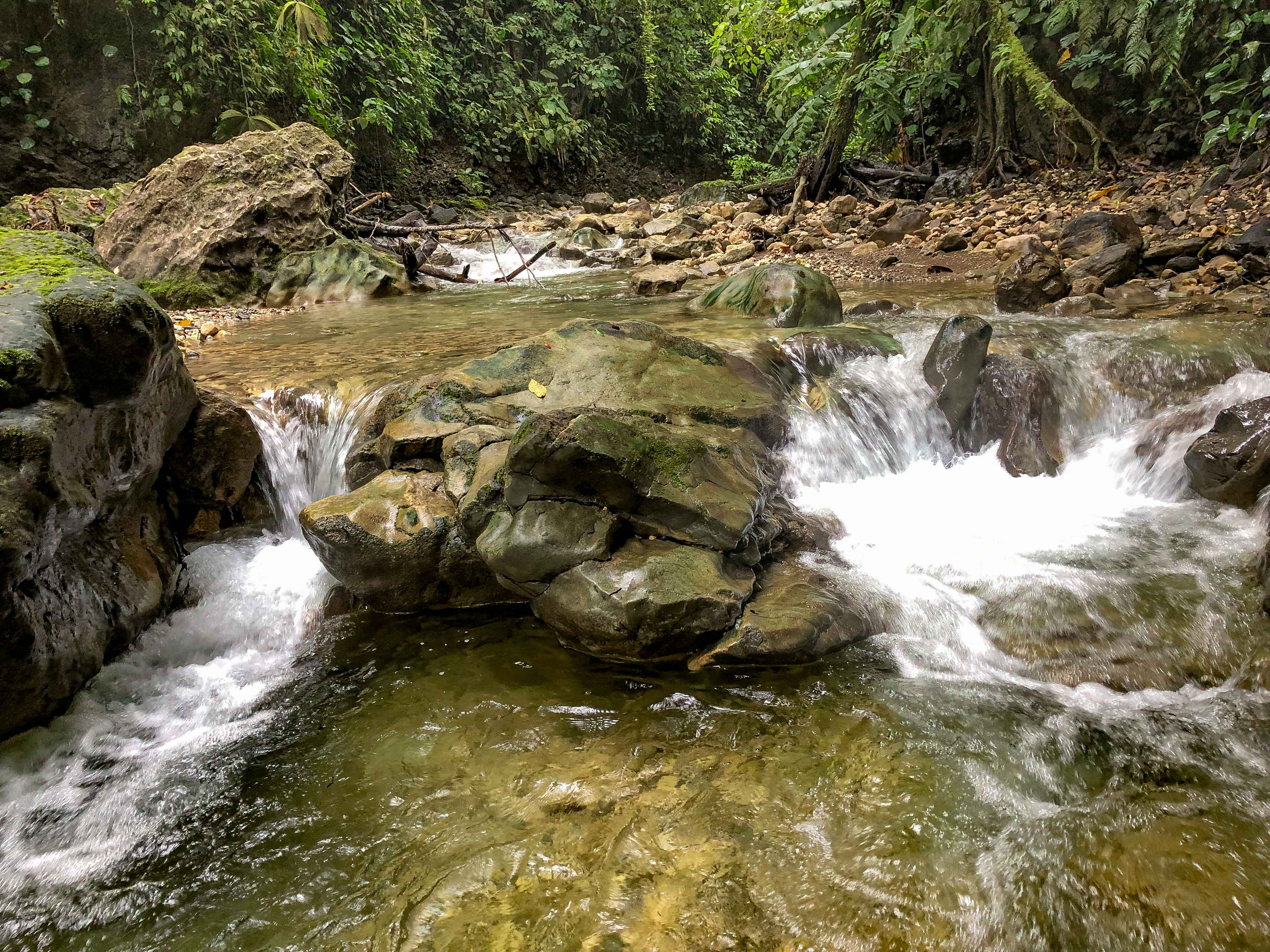 3 bed Land For Sale in Puerto Jimenez, Puntarenas - thumb 23