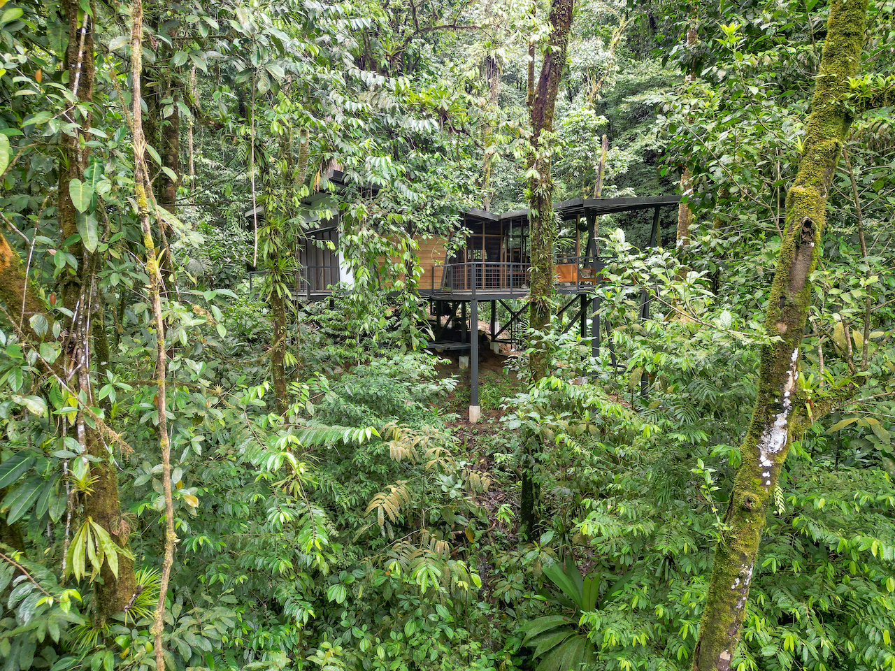 3 bed Land For Sale in Puerto Jimenez, Puntarenas - thumb 8