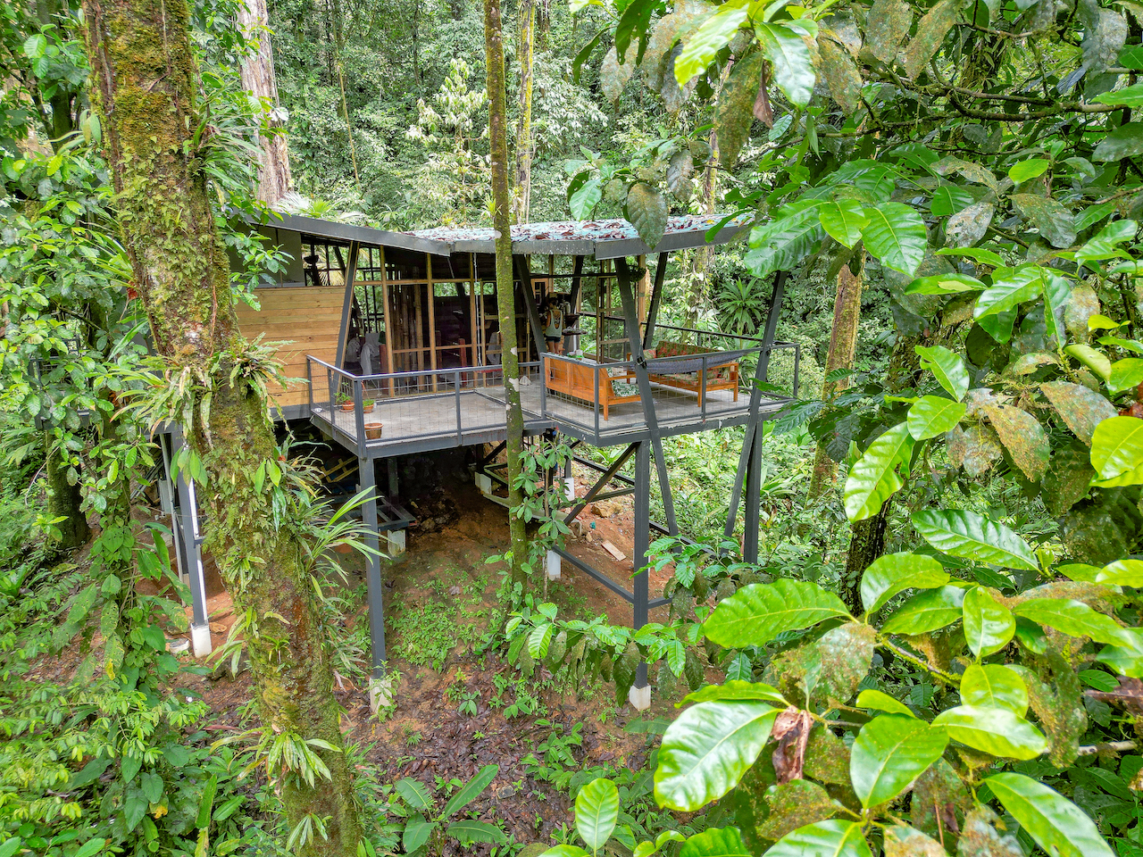 3 bed Land For Sale in Puerto Jimenez, Puntarenas - thumb 1