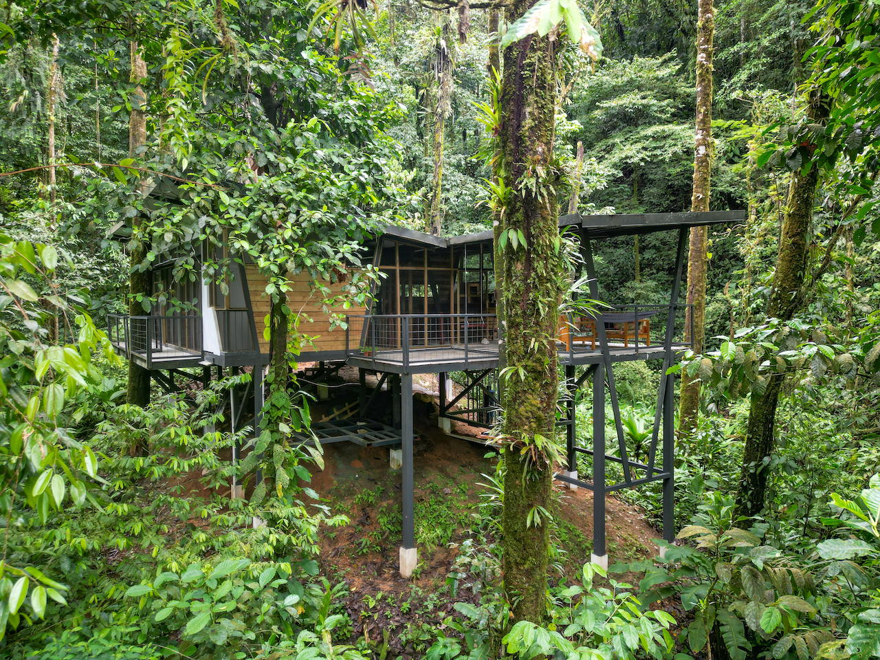 3 bed Land For Sale in Puerto Jimenez, Puntarenas - thumb 7