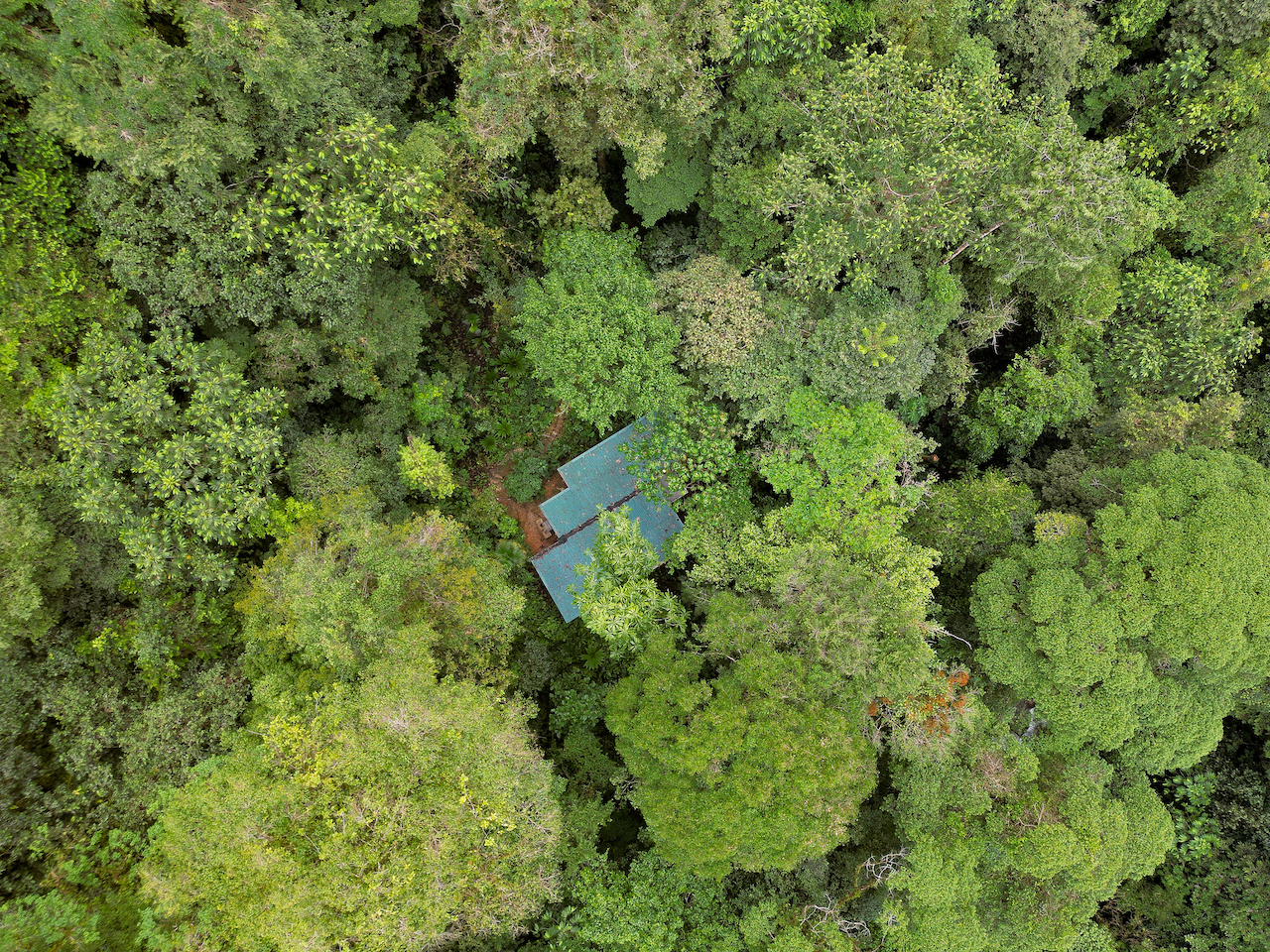 3 bed Land For Sale in Puerto Jimenez, Puntarenas - thumb 15