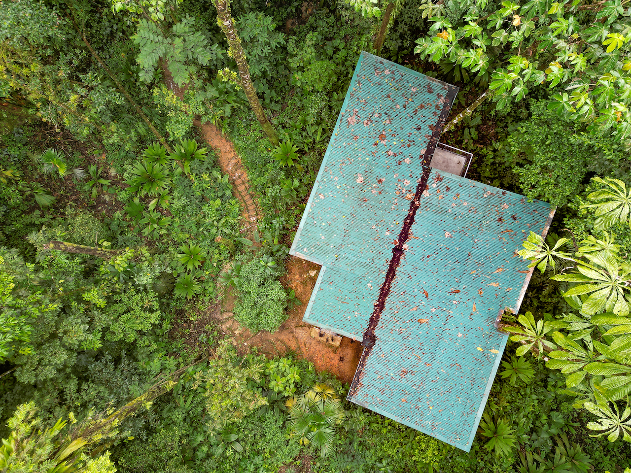 3 bed Land For Sale in Puerto Jimenez, Puntarenas - thumb 21