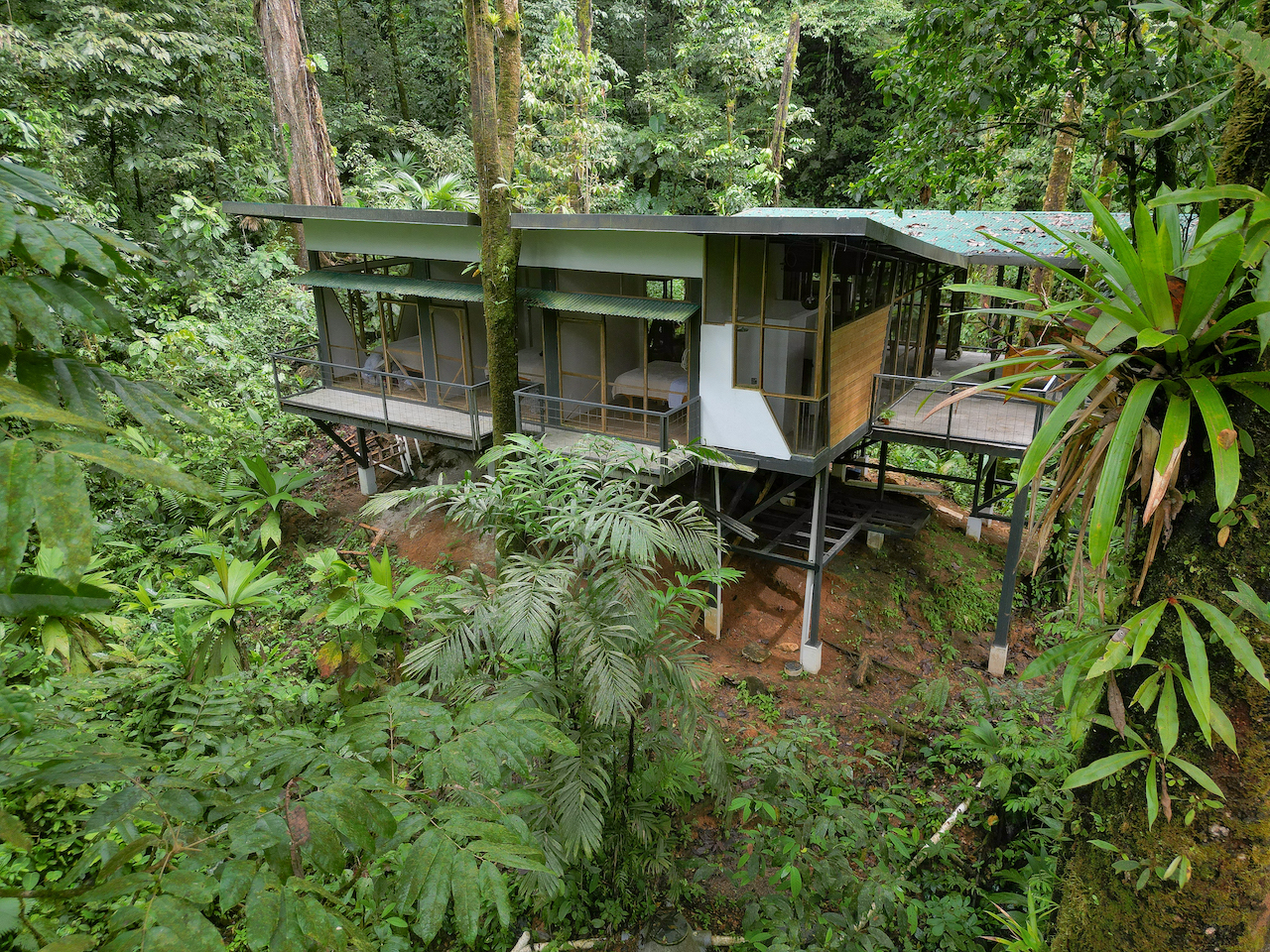 3 bed Land For Sale in Puerto Jimenez, Puntarenas - thumb 5