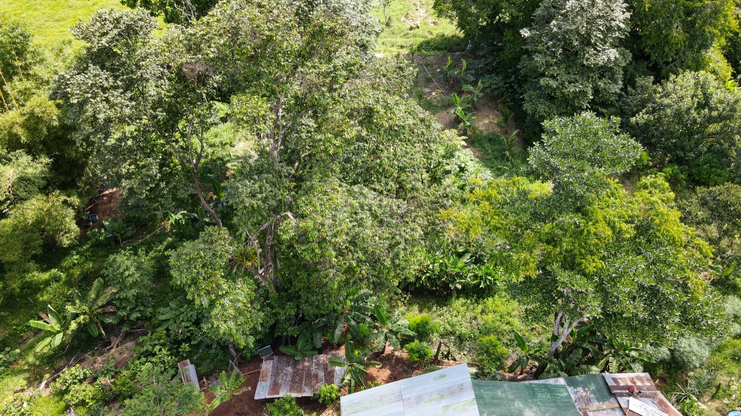 0 bed Land For Sale in Ojochal, Puntarenas - thumb 17