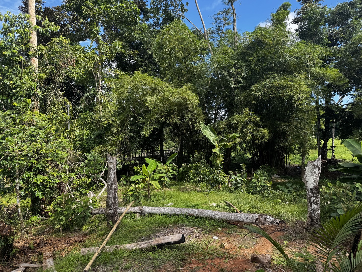 0 bed Land For Sale in Ojochal, Puntarenas - thumb 21