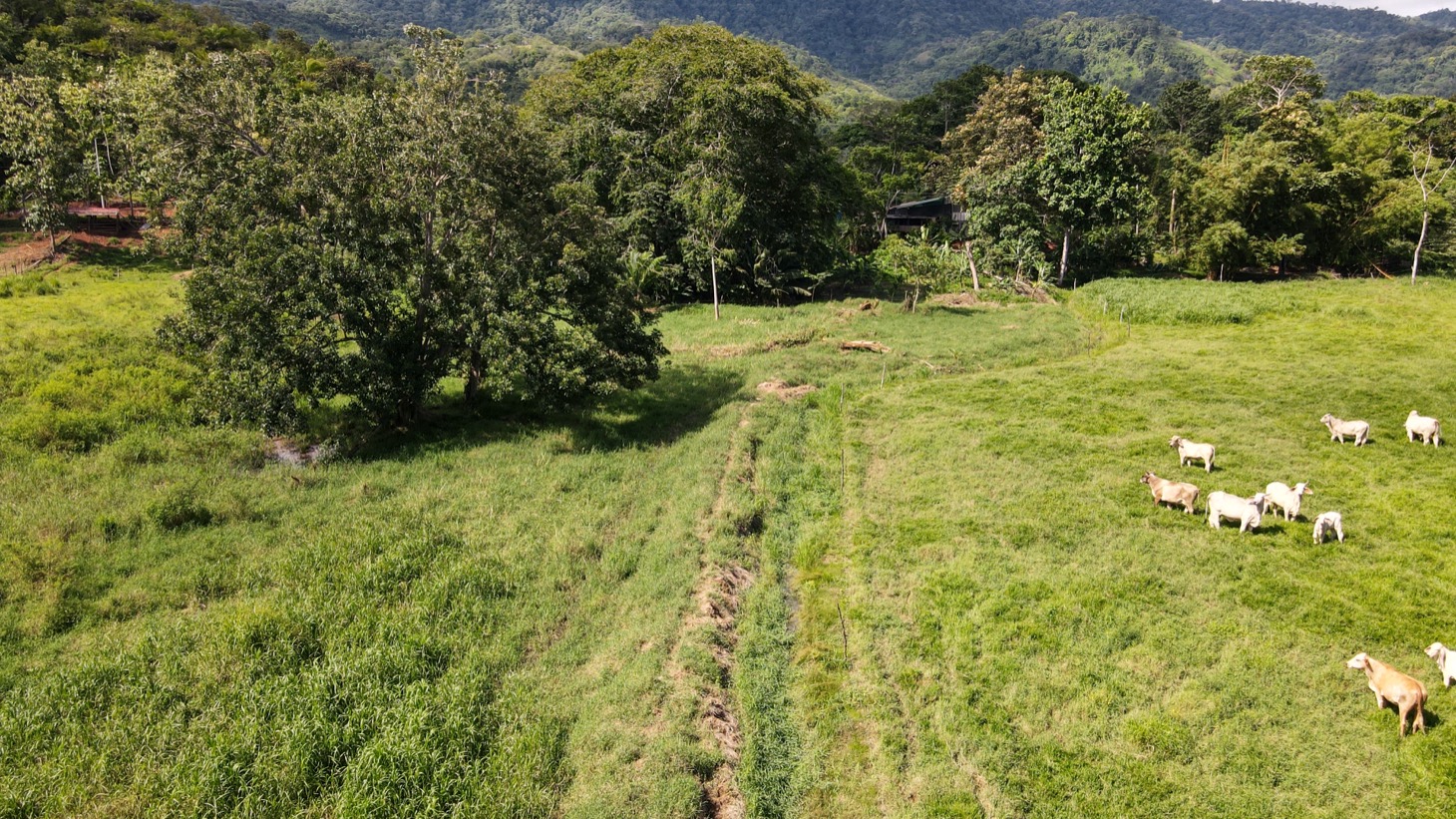 0 bed Land For Sale in Ojochal, Puntarenas - thumb 15