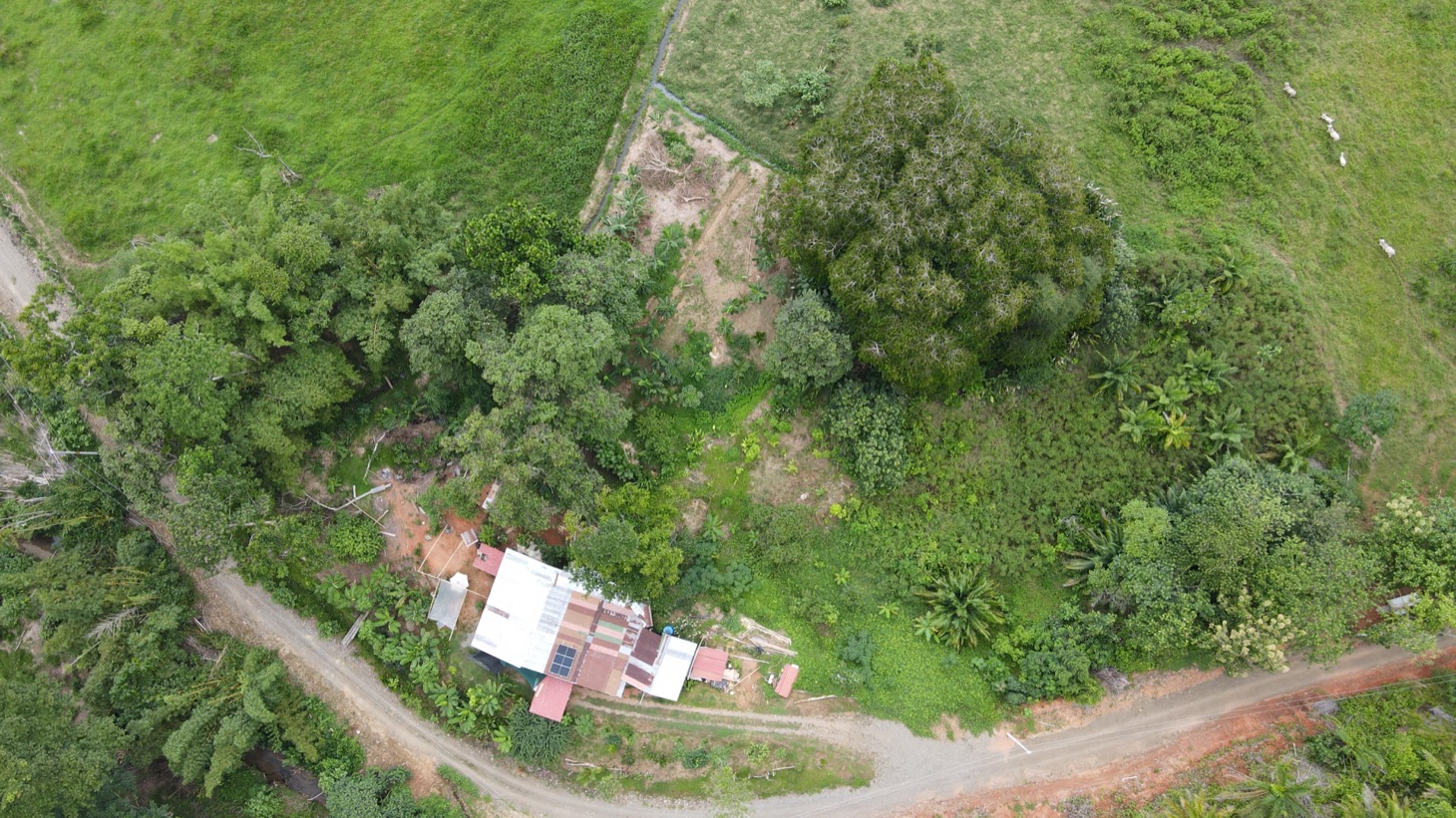 0 bed Land For Sale in Ojochal, Puntarenas - thumb 5
