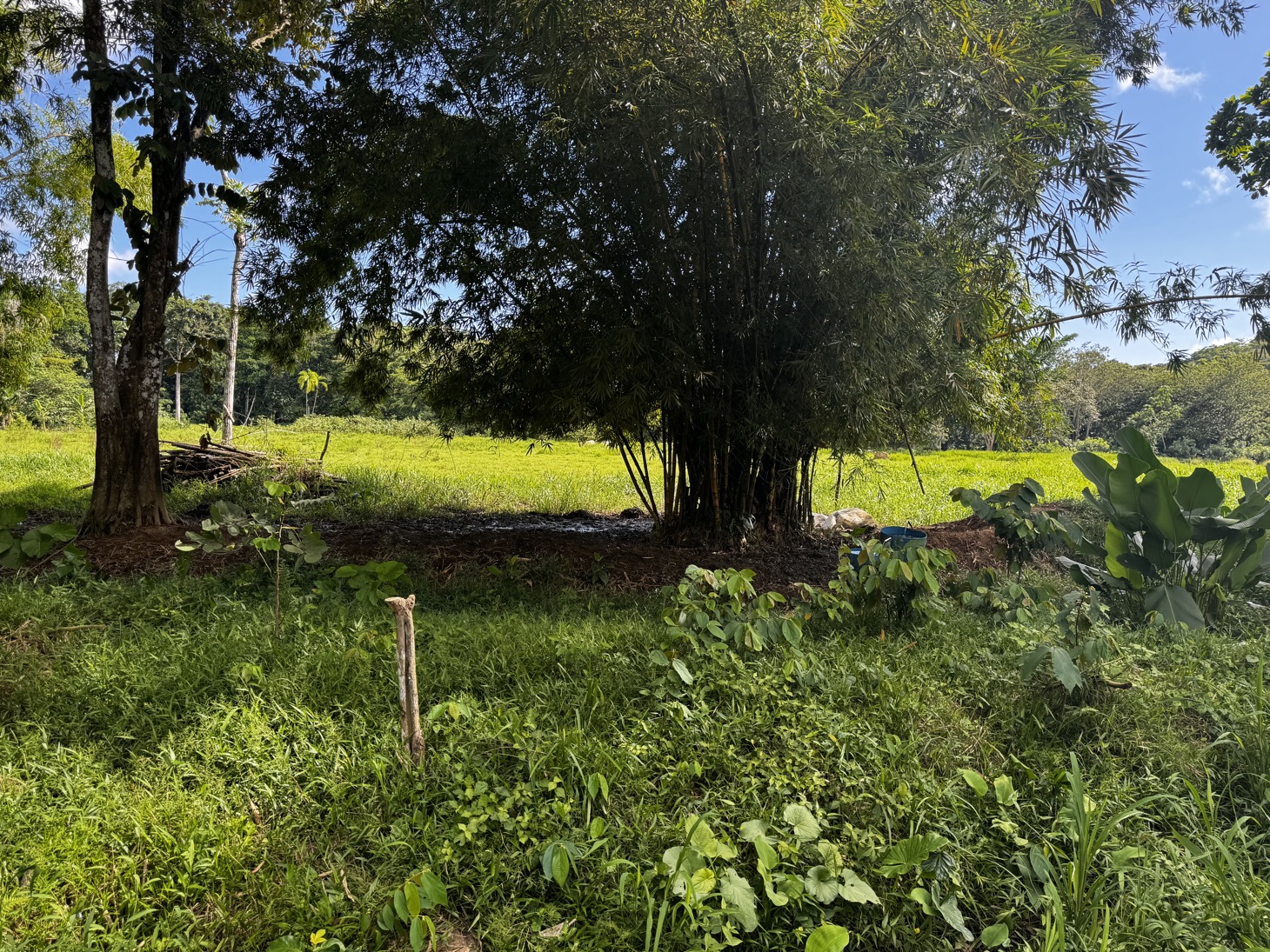 0 bed Land For Sale in Ojochal, Puntarenas - thumb 16