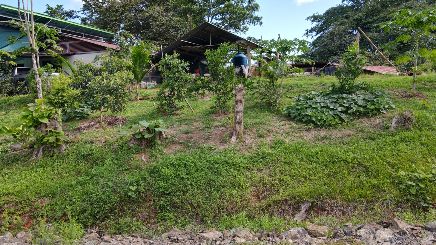 0 bed Land For Sale in Ojochal, Puntarenas - thumb 20