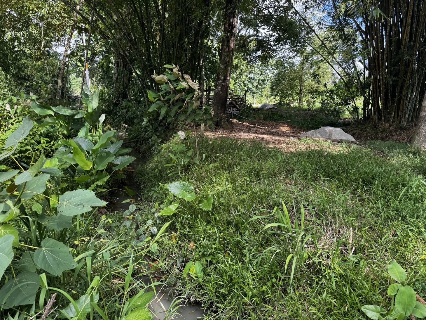 0 bed Land For Sale in Ojochal, Puntarenas - thumb 23