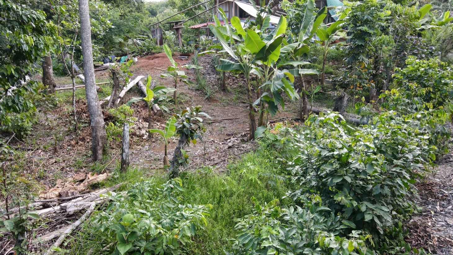 0 bed Land For Sale in Ojochal, Puntarenas - thumb 30