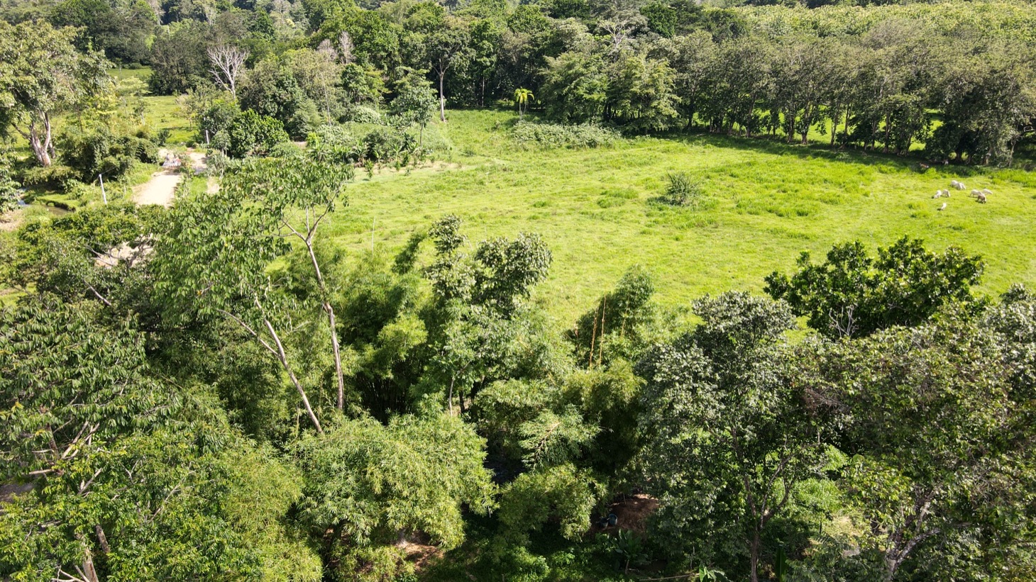 0 bed Land For Sale in Ojochal, Puntarenas - thumb 13