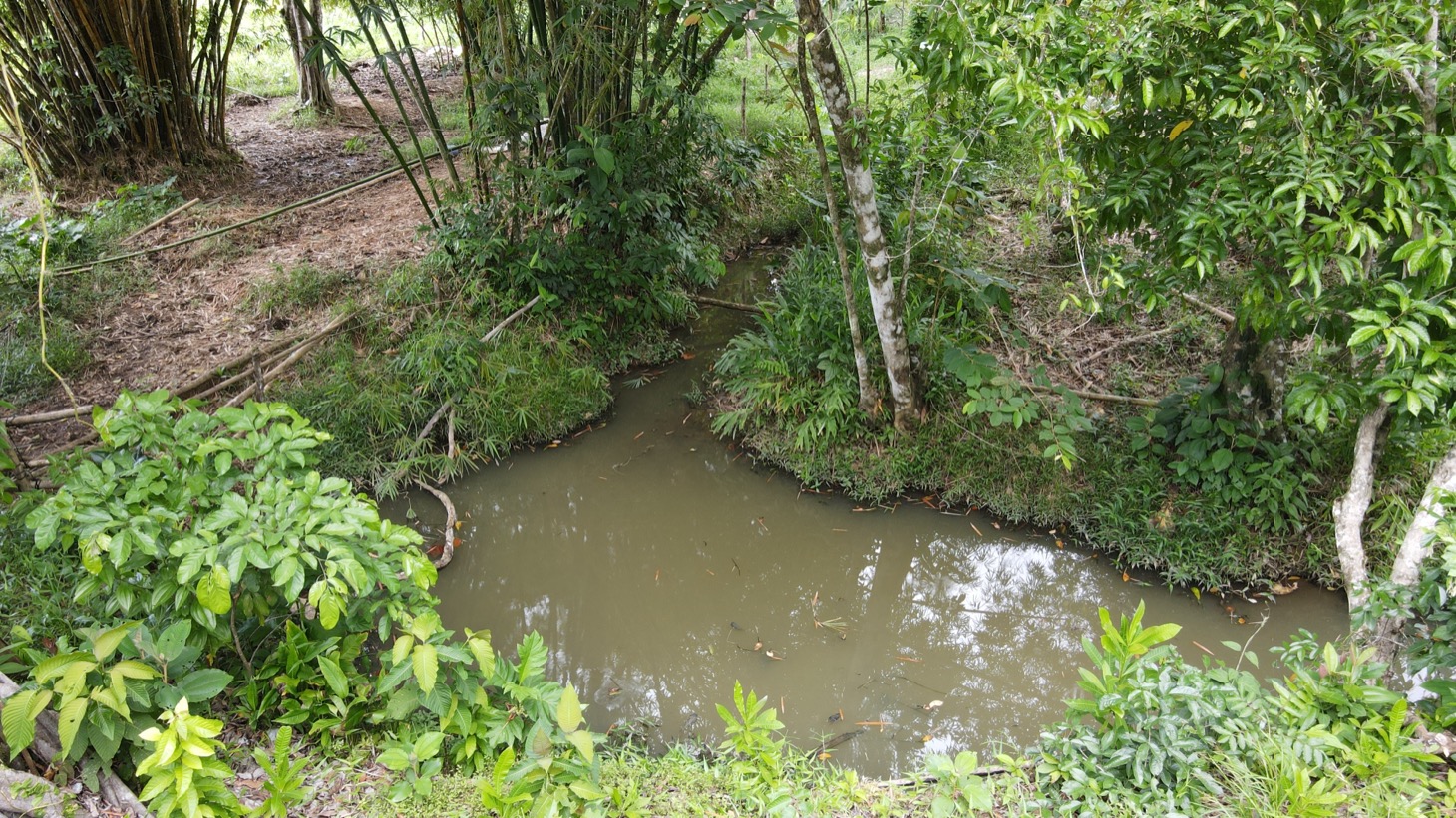 0 bed Land For Sale in Ojochal, Puntarenas - thumb 7