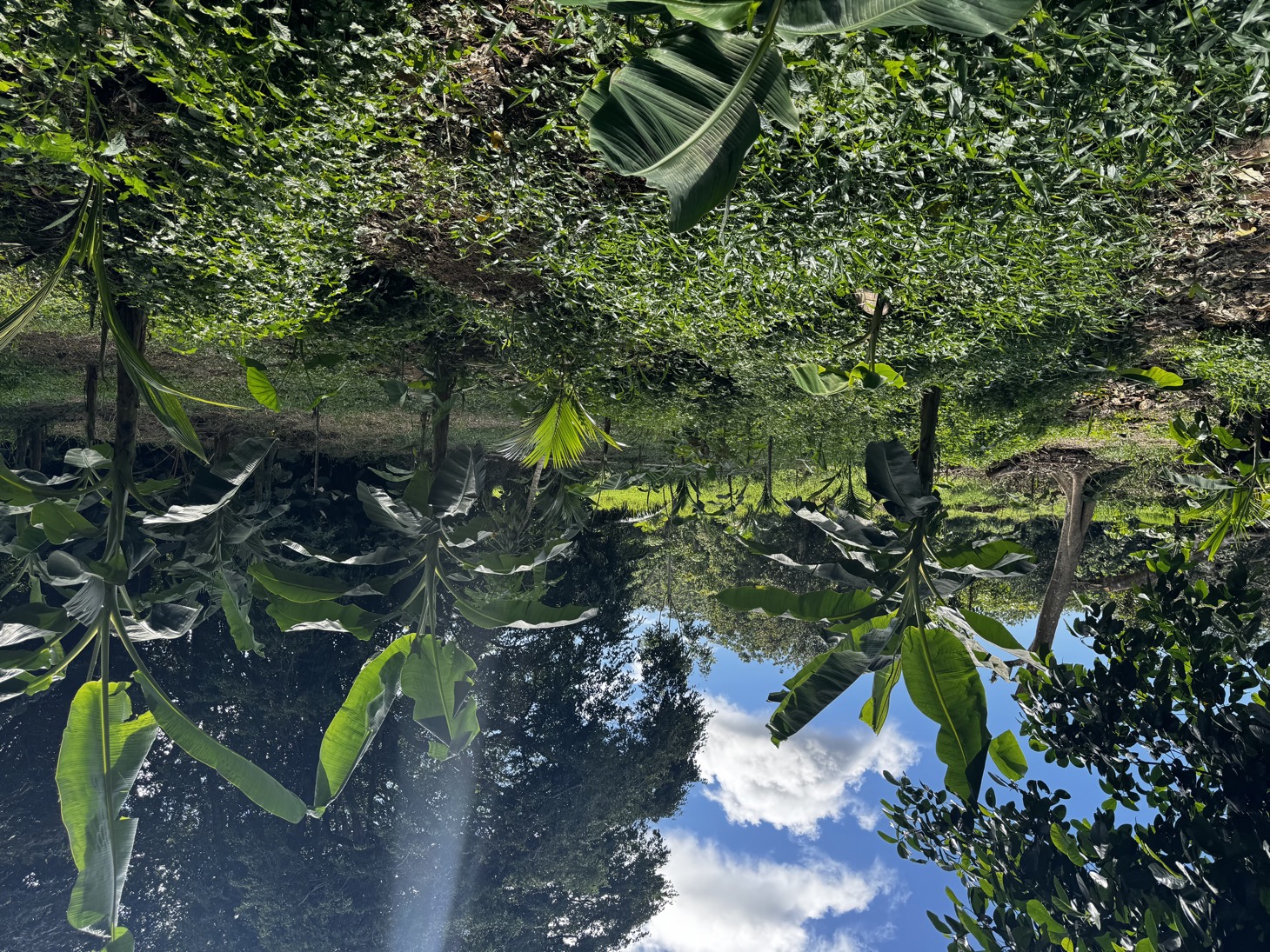 0 bed Land For Sale in Ojochal, Puntarenas - thumb 25