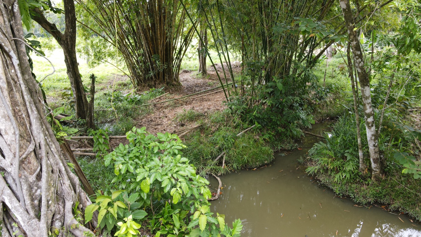 0 bed Land For Sale in Ojochal, Puntarenas - thumb 6