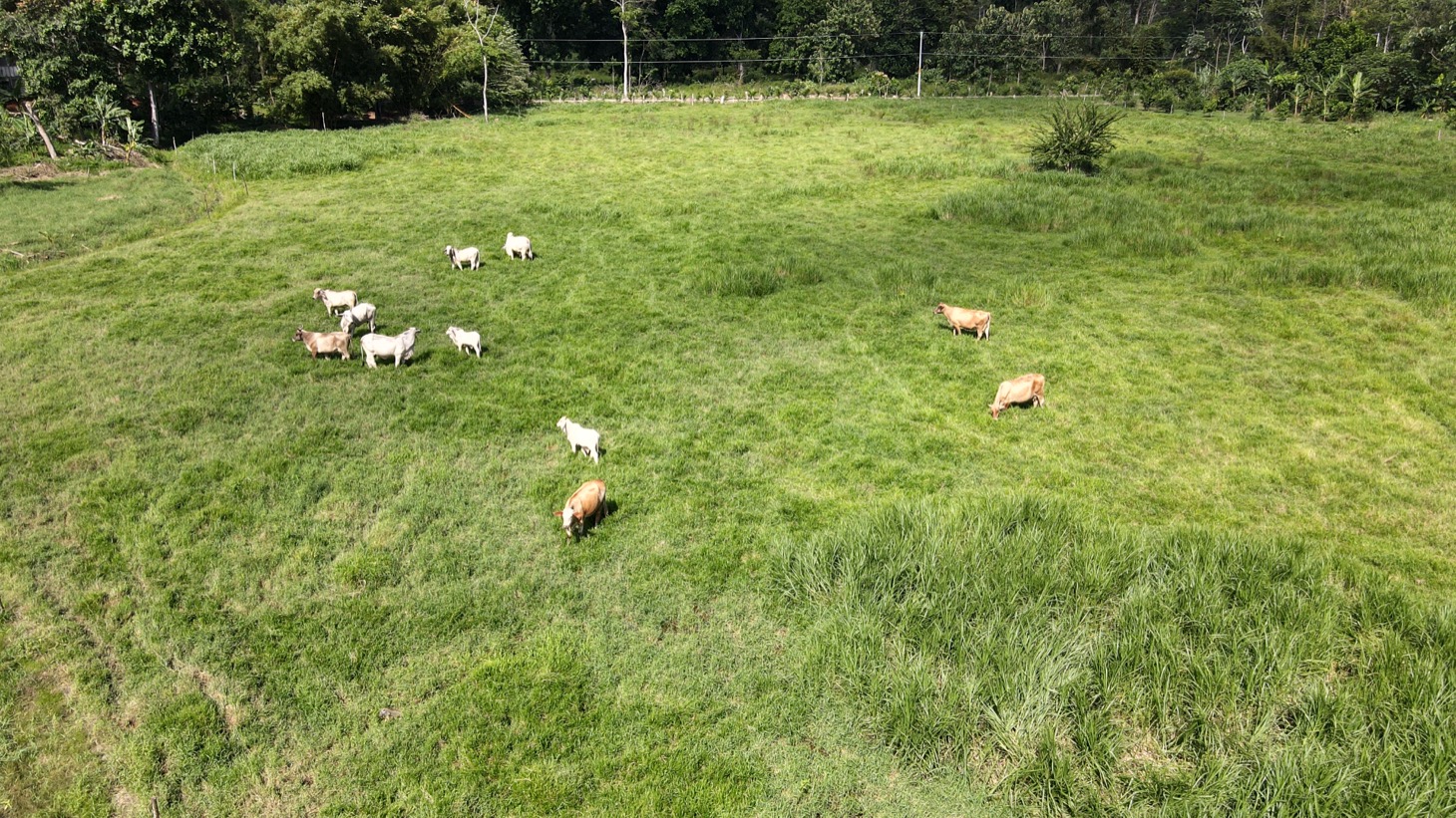 0 bed Land For Sale in Ojochal, Puntarenas - thumb 14