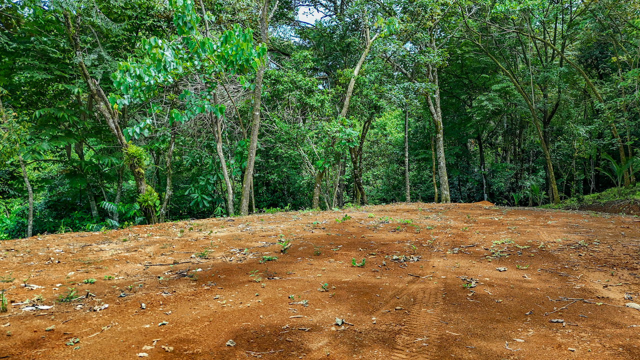 0 bed Land For Sale in Ojochal, Puntarenas - thumb 21