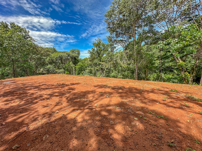 Land For Sale in Ojochal
