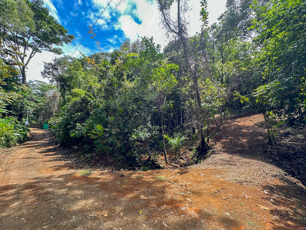 0 bed Land For Sale in Ojochal, Puntarenas - thumb 11