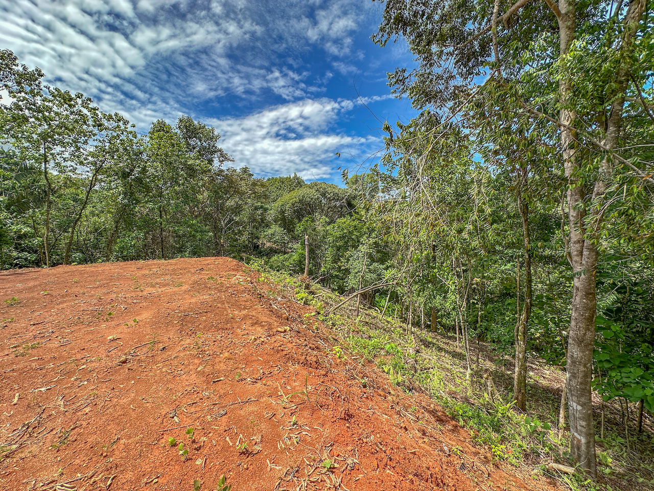 0 bed Land For Sale in Ojochal, Puntarenas - thumb 18