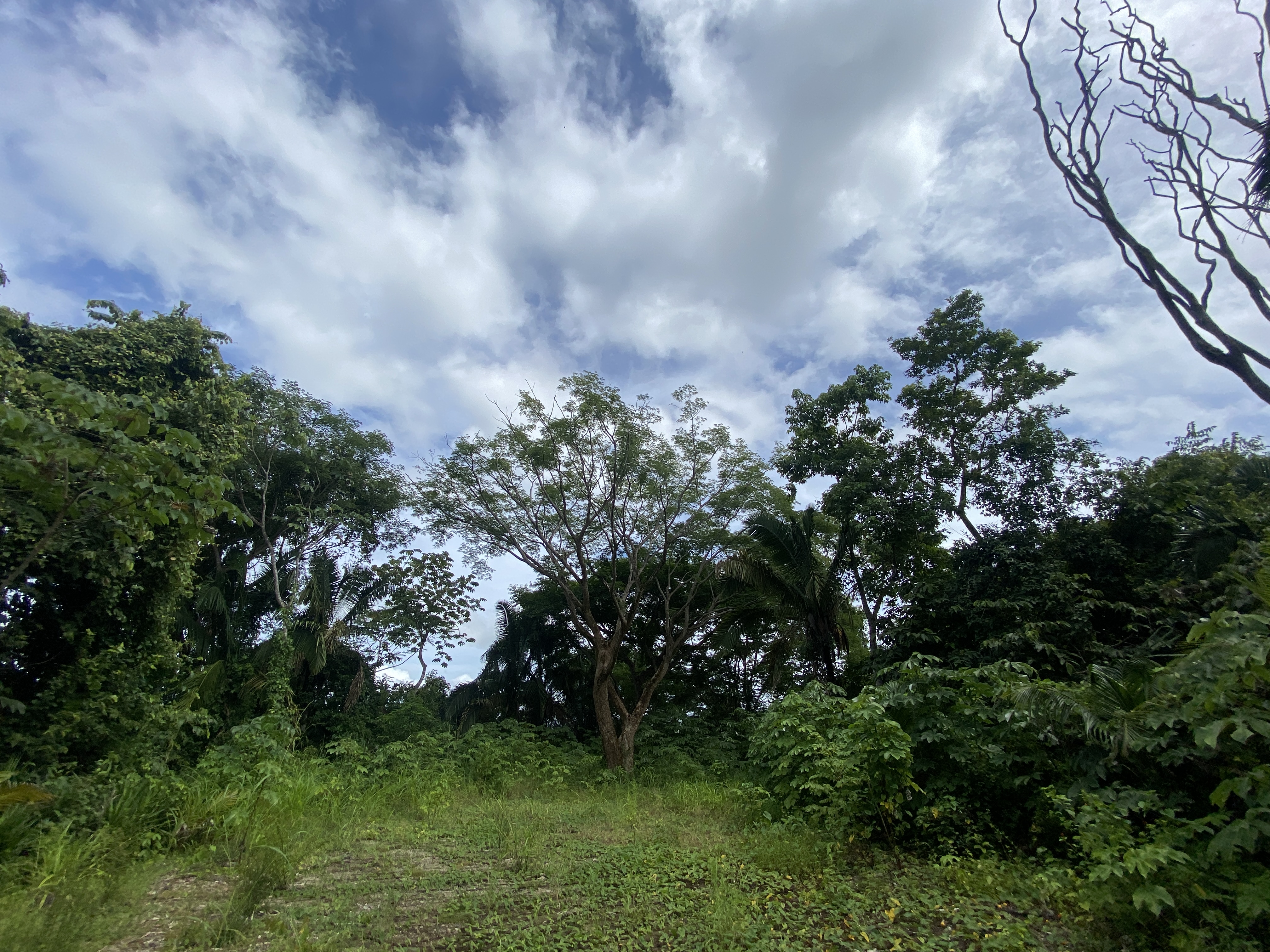 0 bed Land For Sale in Samara, Guanacaste - thumb 7