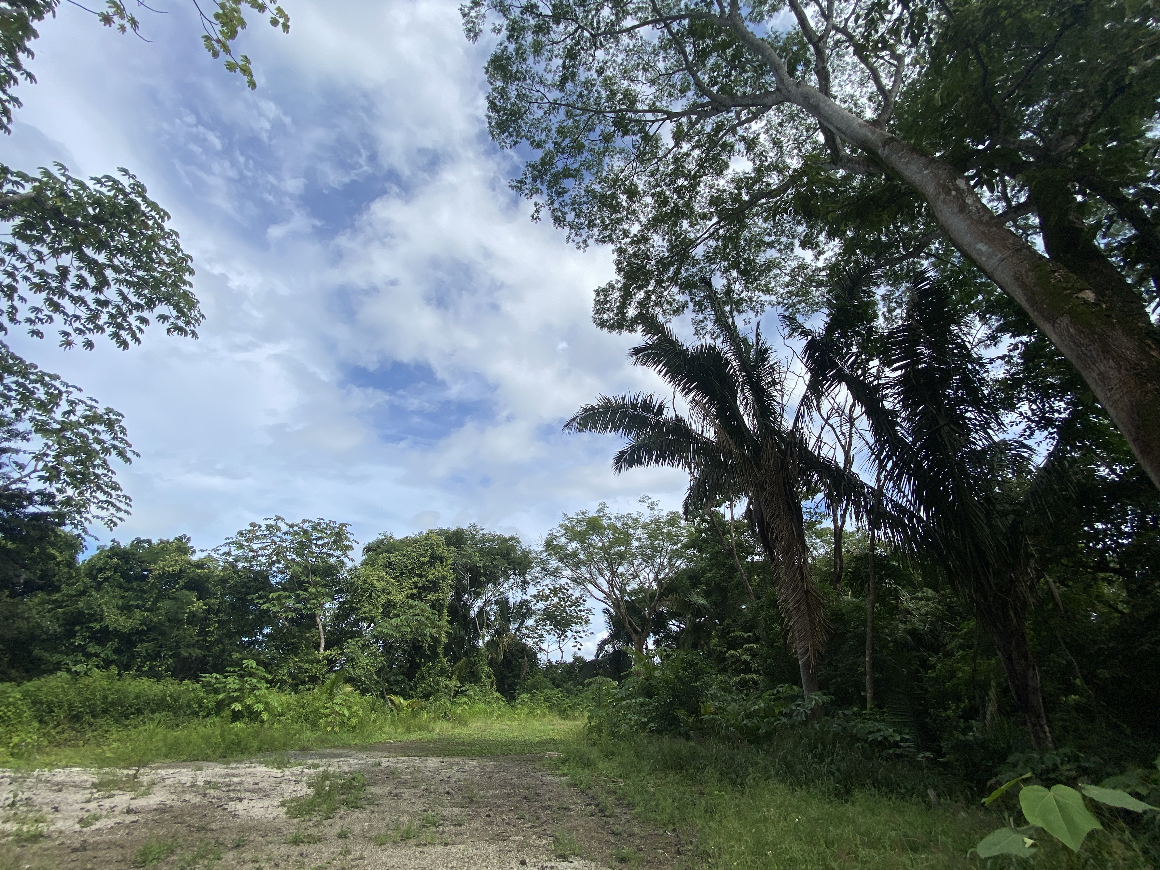 0 bed Land For Sale in Samara, Guanacaste - thumb 5