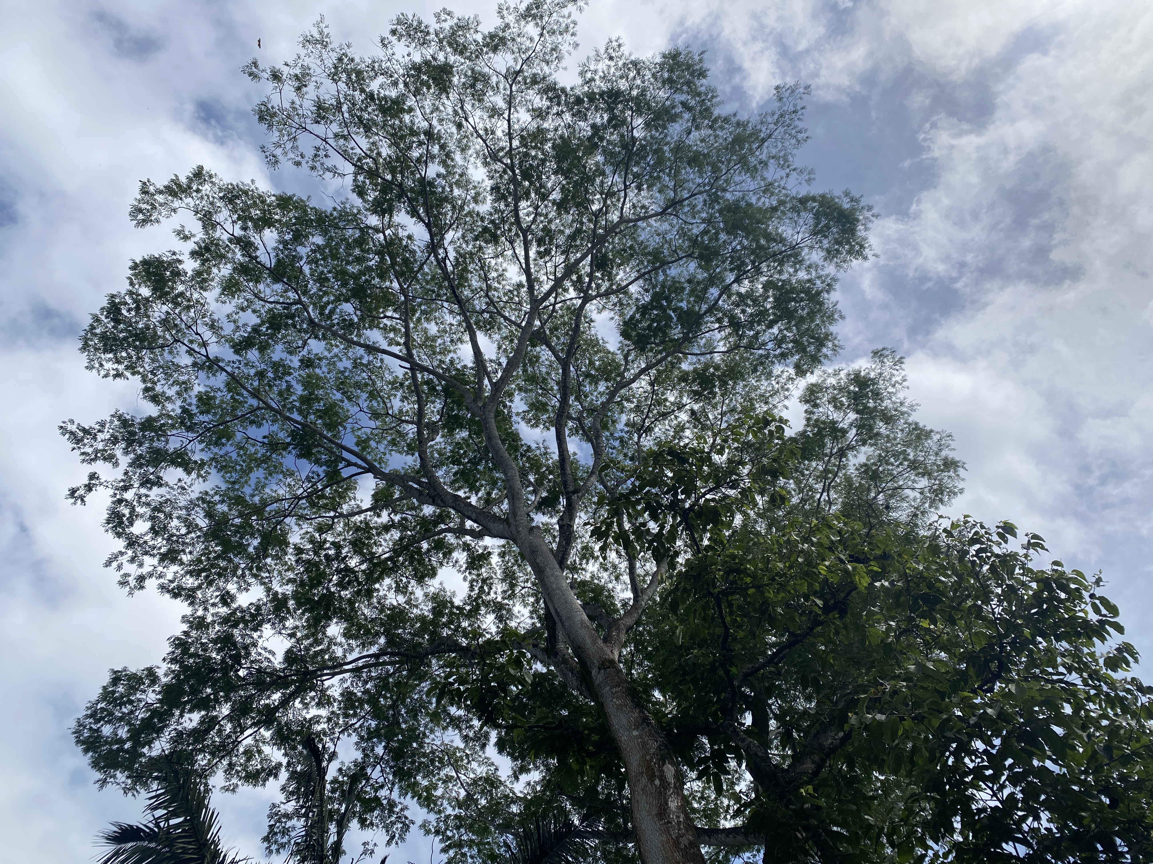 0 bed Land For Sale in Samara, Guanacaste - thumb 3