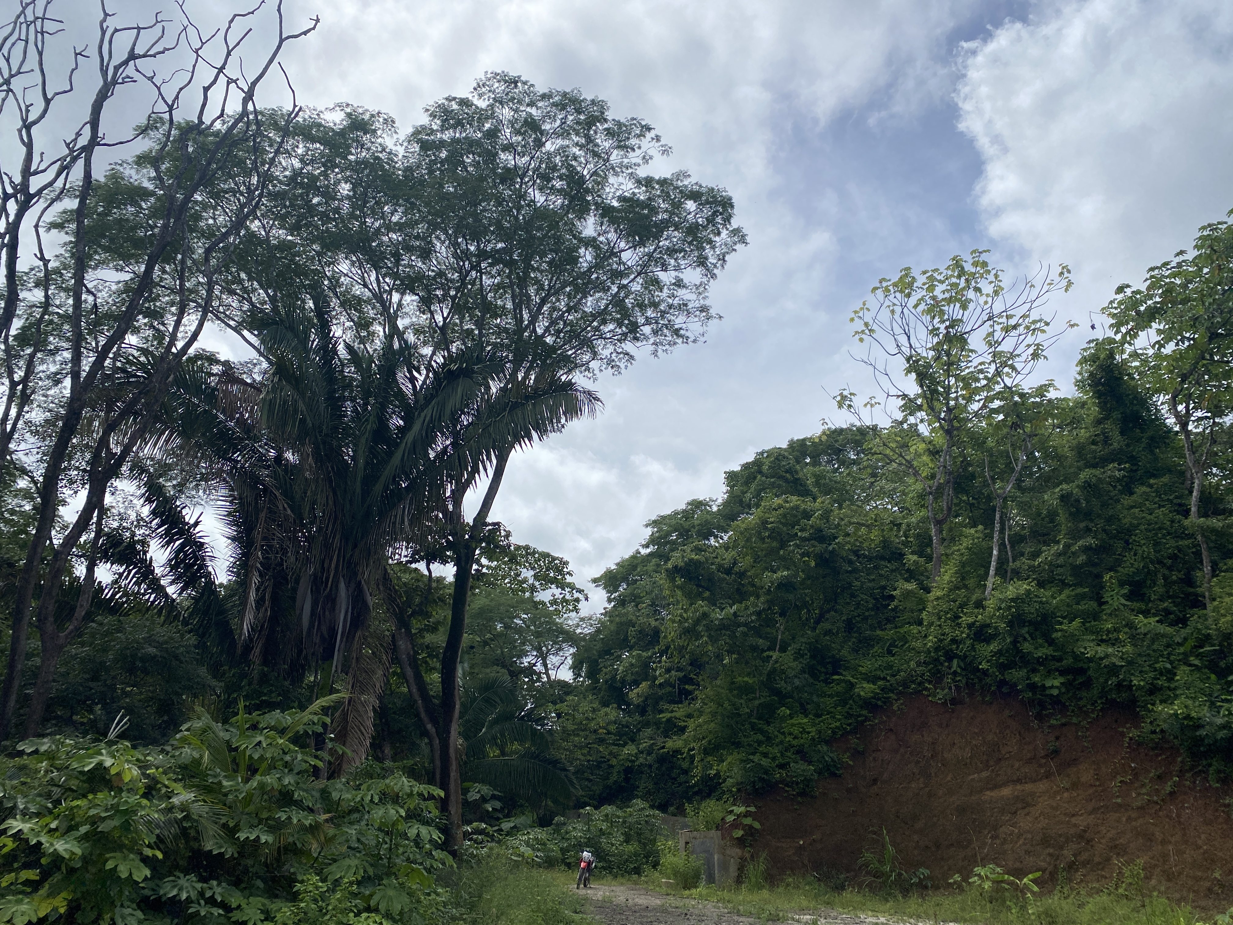 0 bed Land For Sale in Samara, Guanacaste - thumb 11