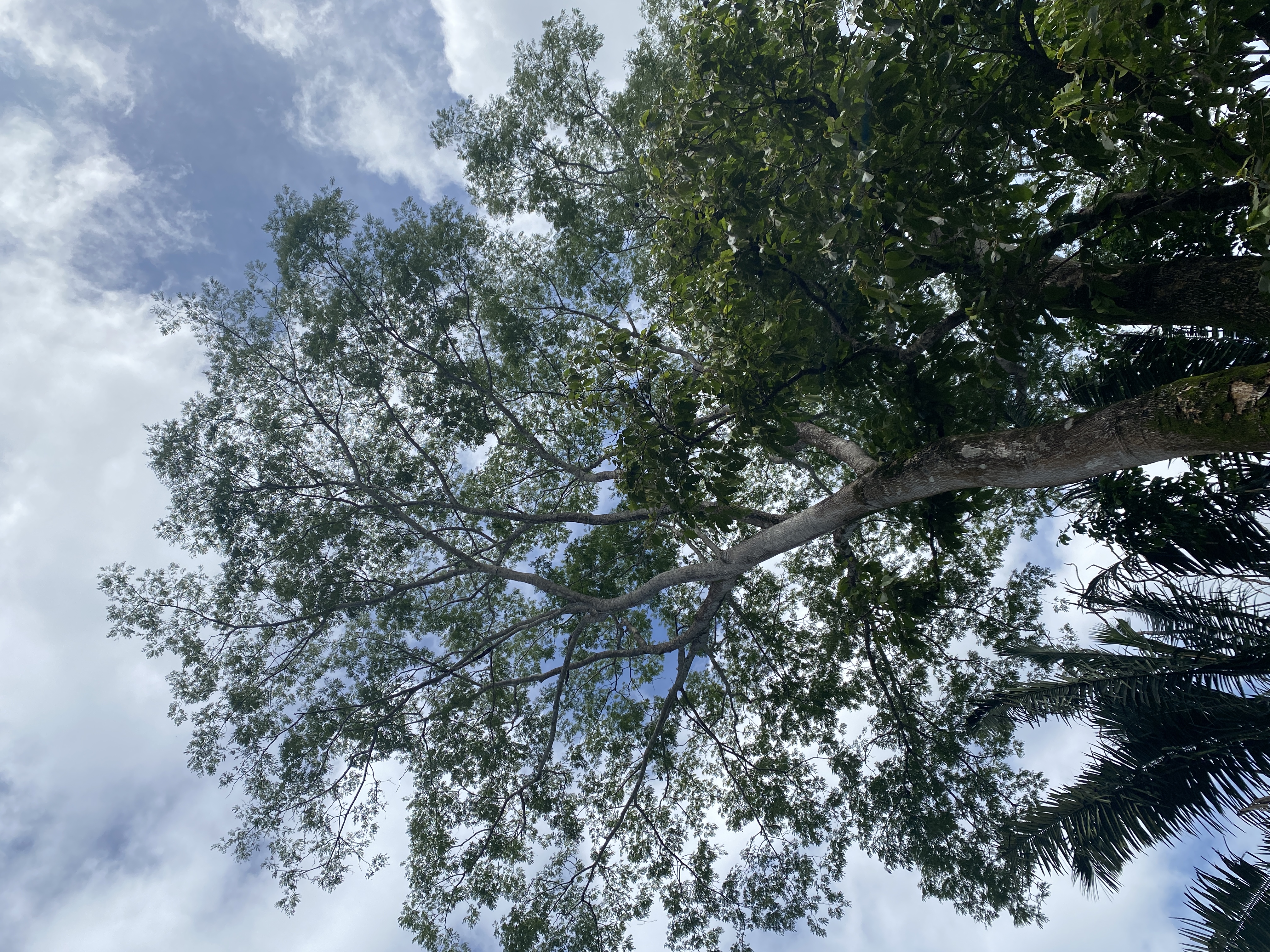 0 bed Land For Sale in Samara, Guanacaste - thumb 2