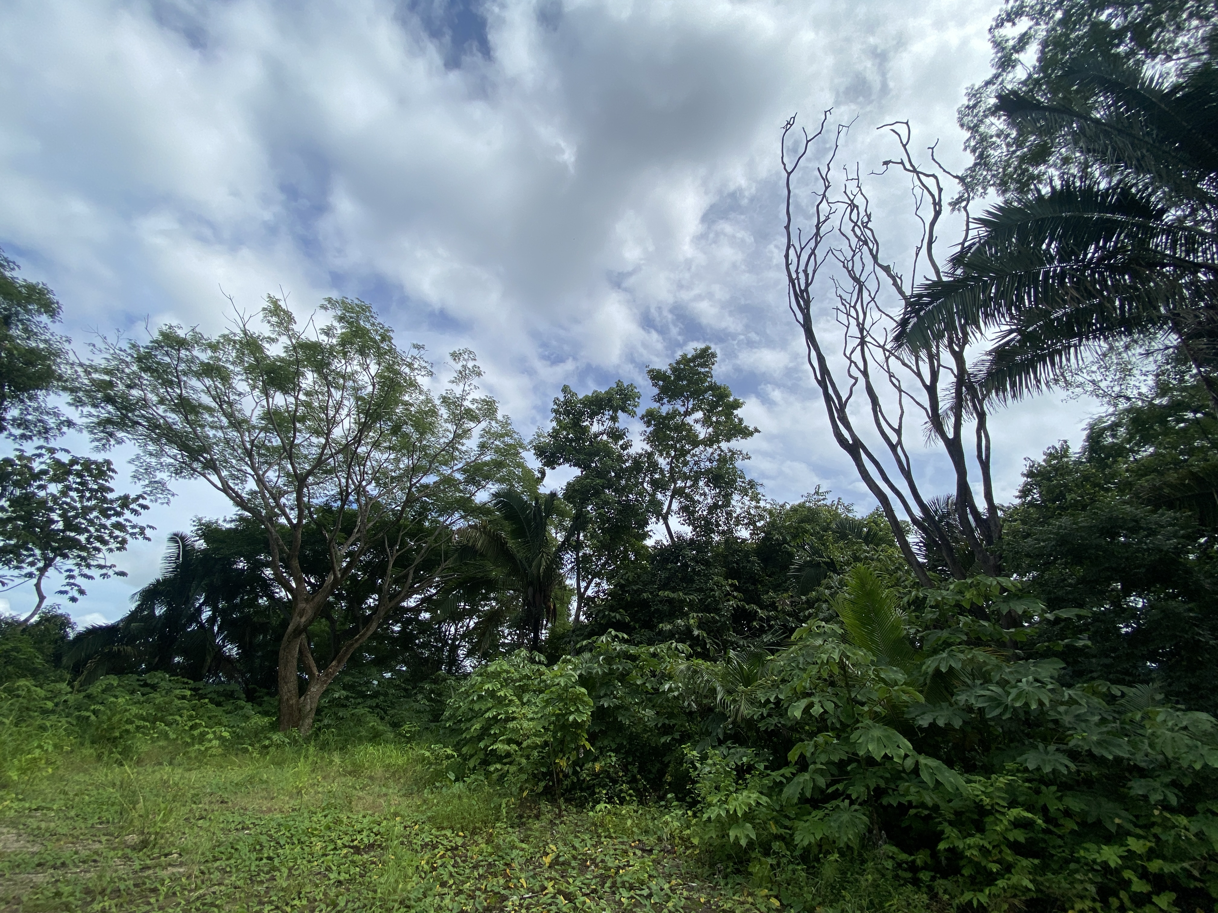 0 bed Land For Sale in Samara, Guanacaste - thumb 9
