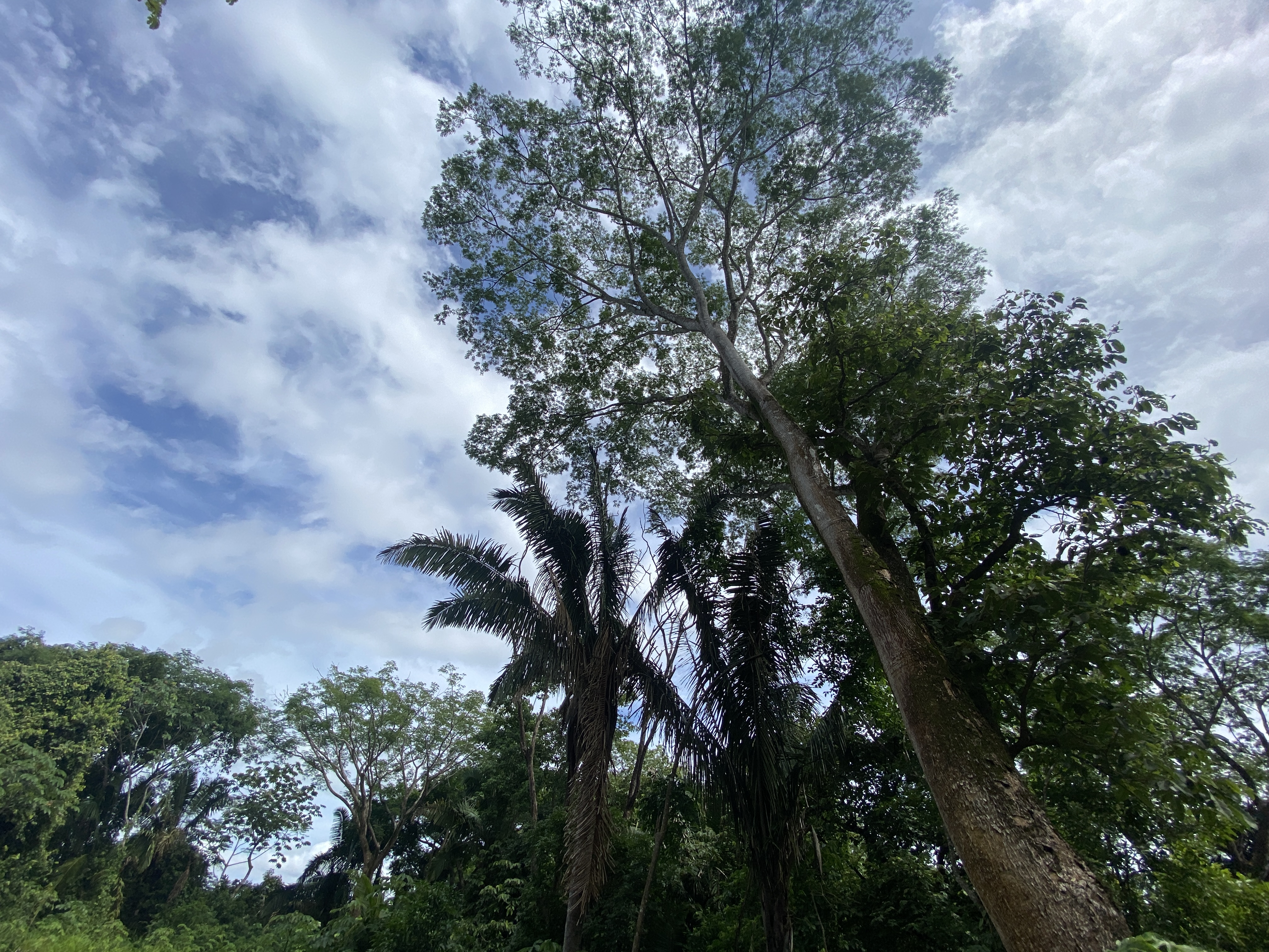 0 bed Land For Sale in Samara, Guanacaste - thumb 4