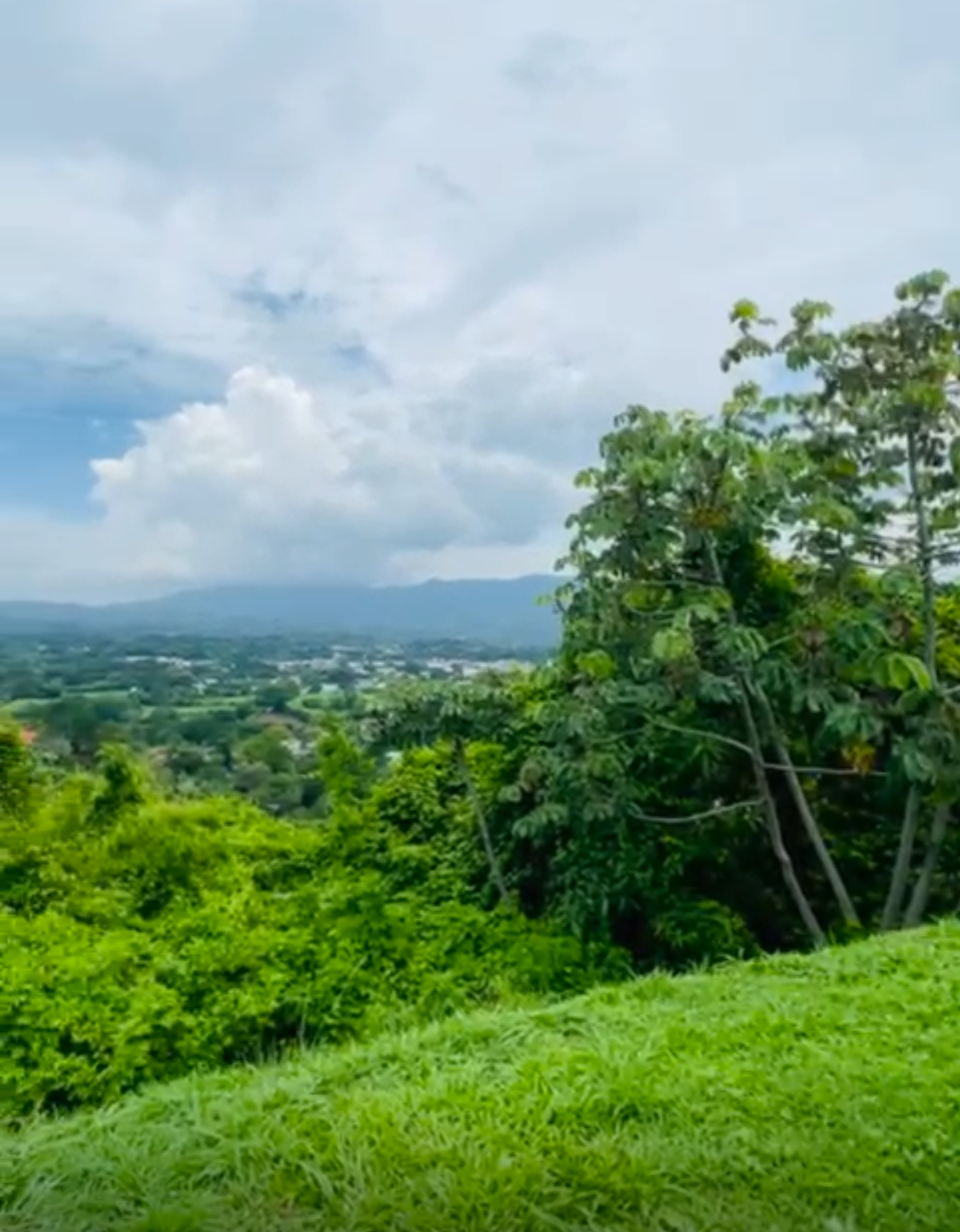 3 bed Single Family Homes For Sale in Atenas, Alajuela - thumb 11